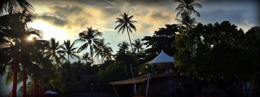 A silhouette of coconut trees and a white tent