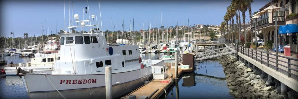Yachts docked at the port