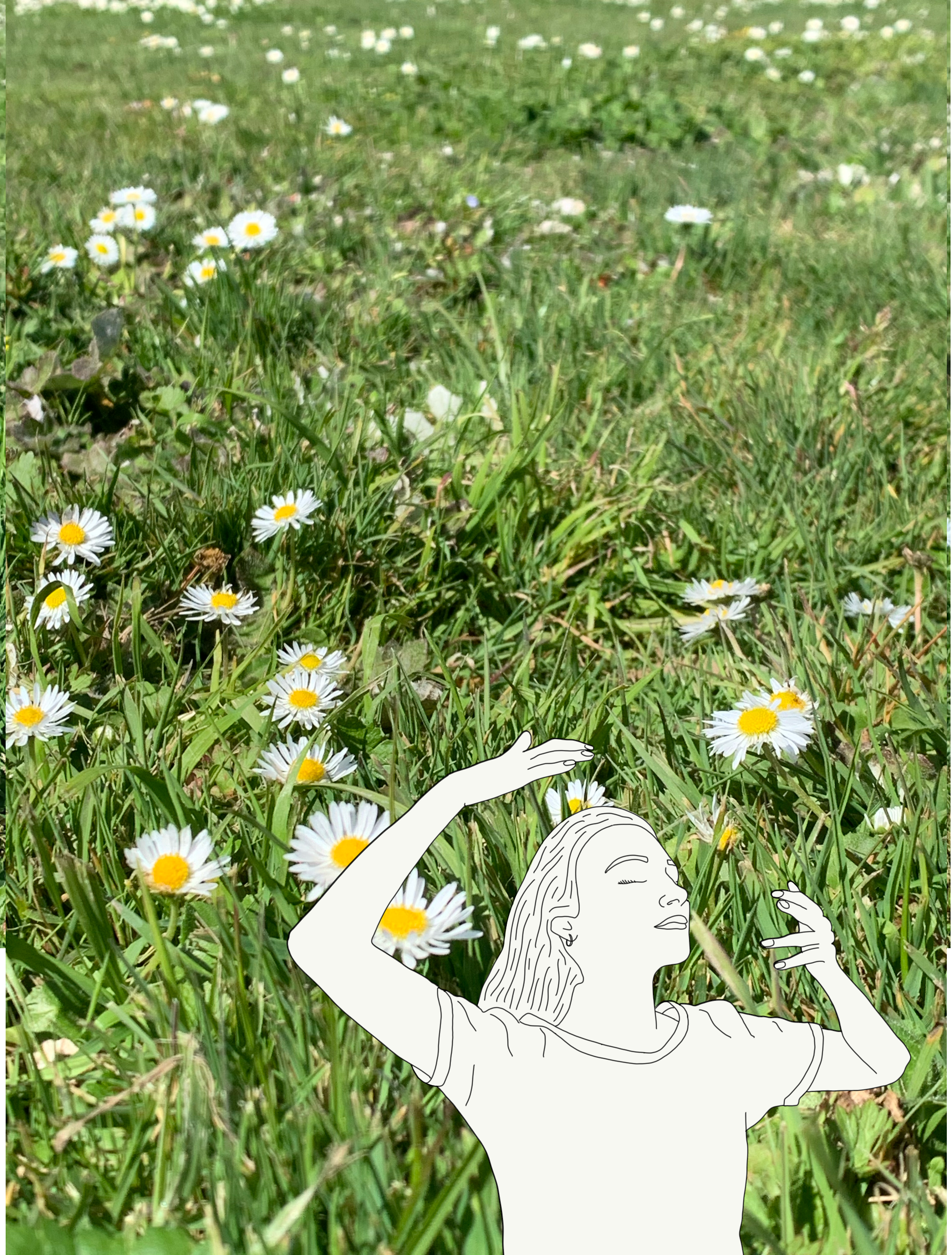Untitled_Artwork 13.png