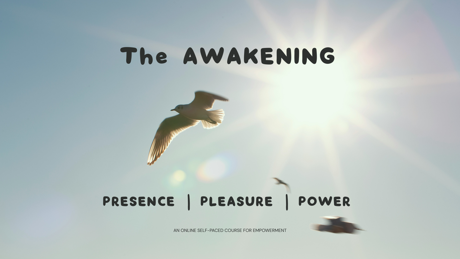 DISCOVER YOUR (ALL!!!) - SLIDES.png