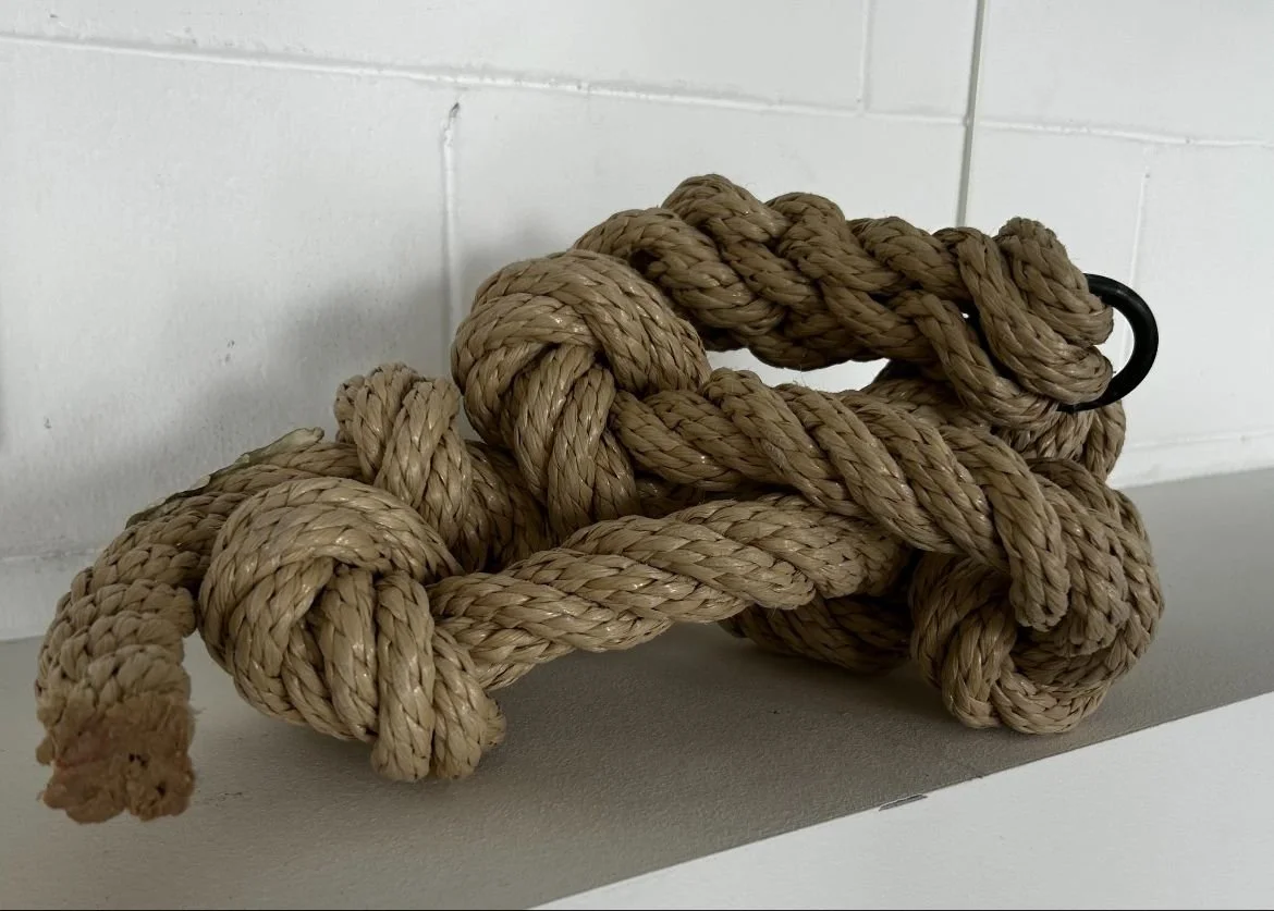 WhatsApp Image 2025-11-09 at 17.54.27.jpeg