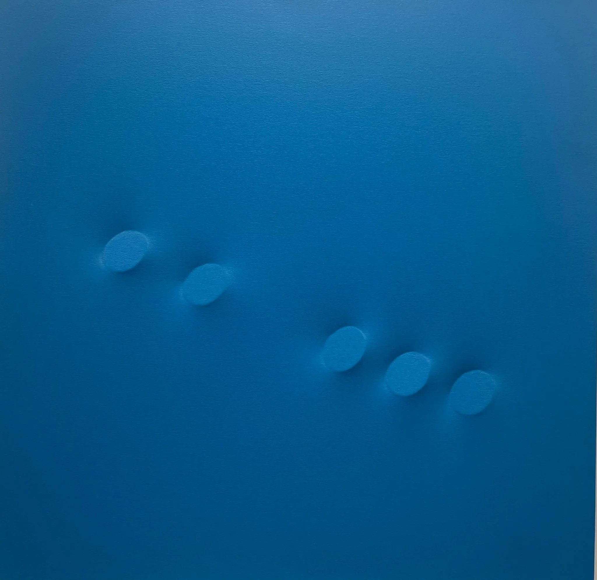 WhatsApp Image 2025-10-12 at 10.46.40.jpeg