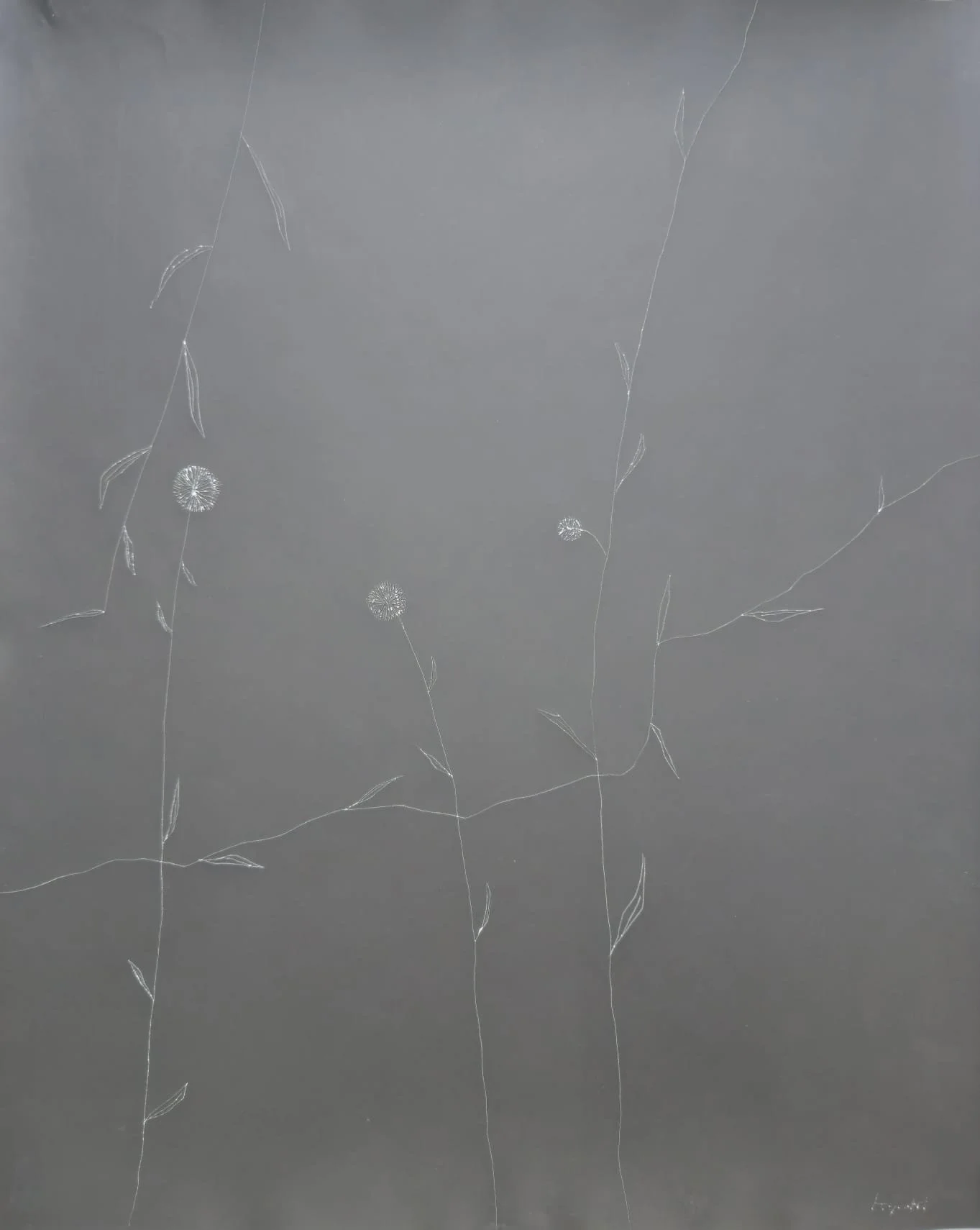 WhatsApp Image 2026-01-25 at 12.28.59 (1).jpeg