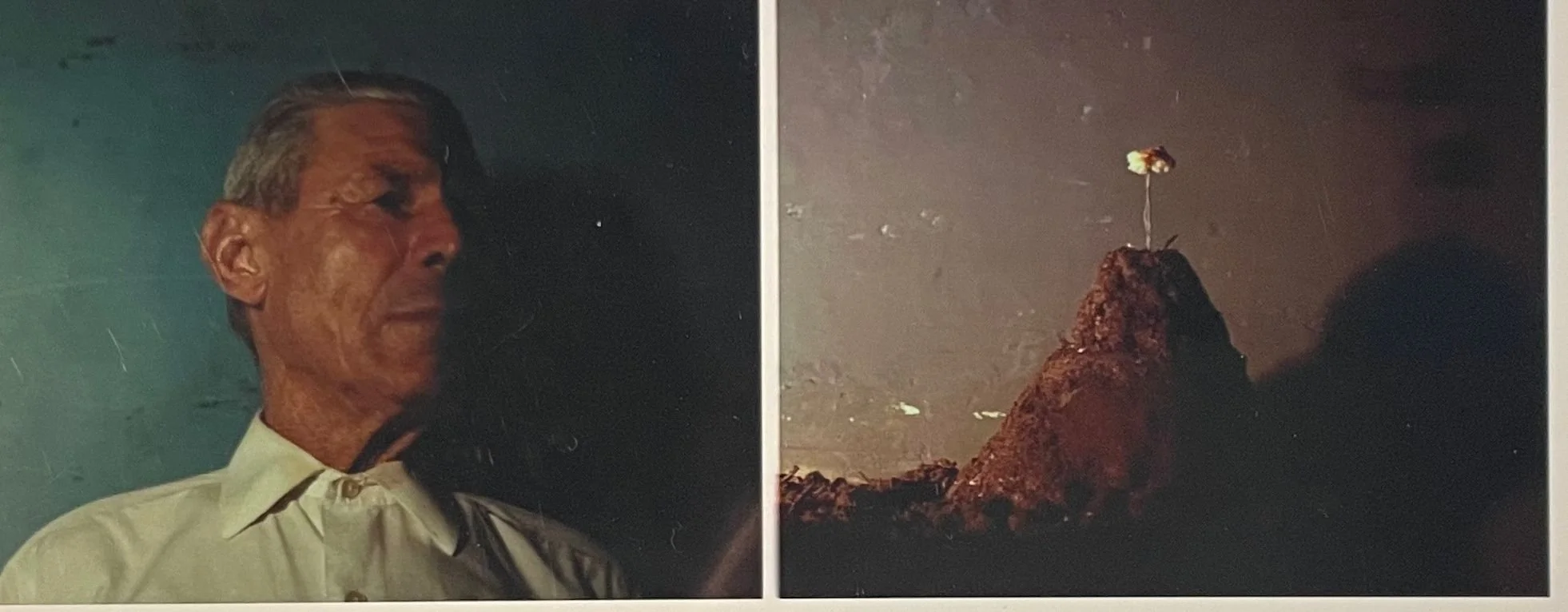 WhatsApp Image 2025-11-02 at 16.33.59.jpeg