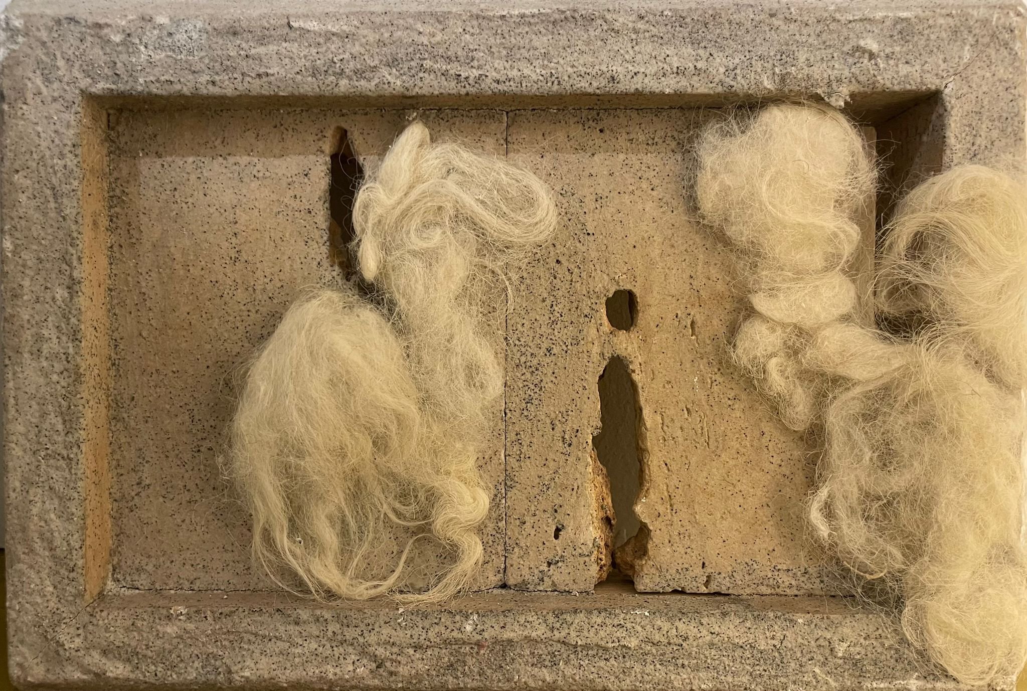 WhatsApp Image 2025-10-26 at 12.17.30.jpeg