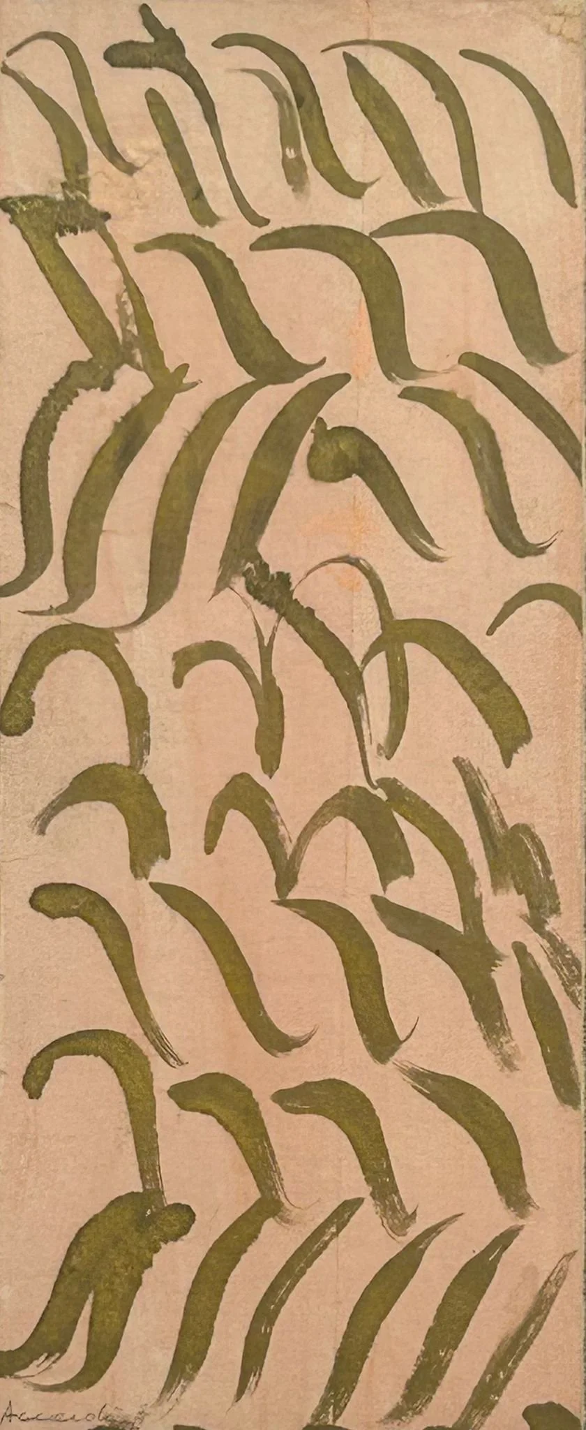 WhatsApp Image 2026-01-18 at 07.53.53.jpeg