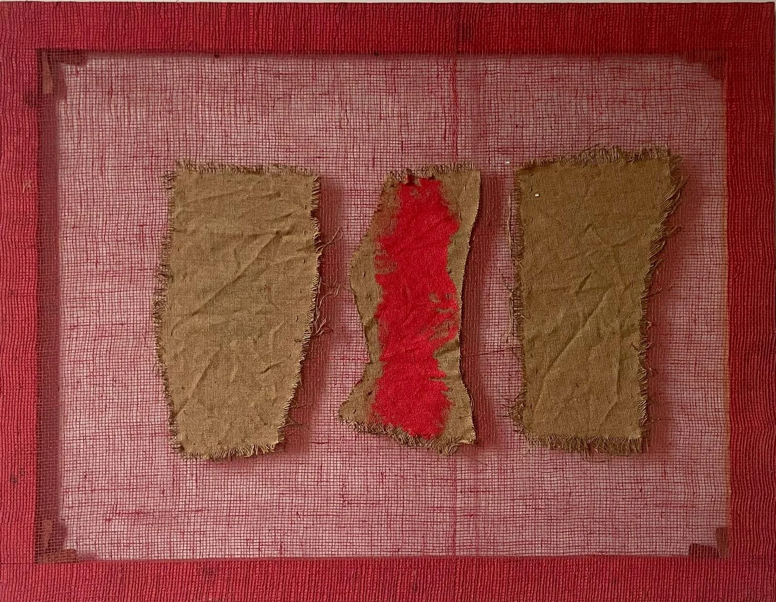 WhatsApp Image 2025-12-07 at 10.03.42.jpeg