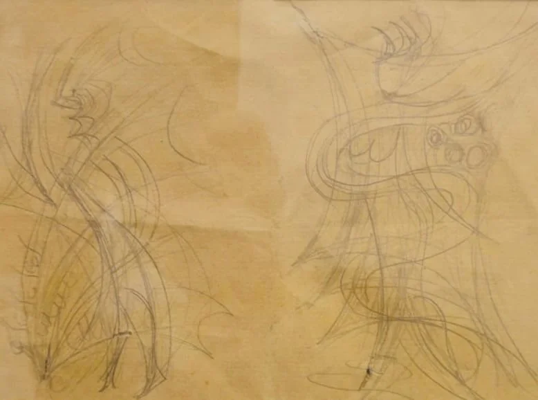 WhatsApp Image 2026-03-08 at 15.43.01.jpeg