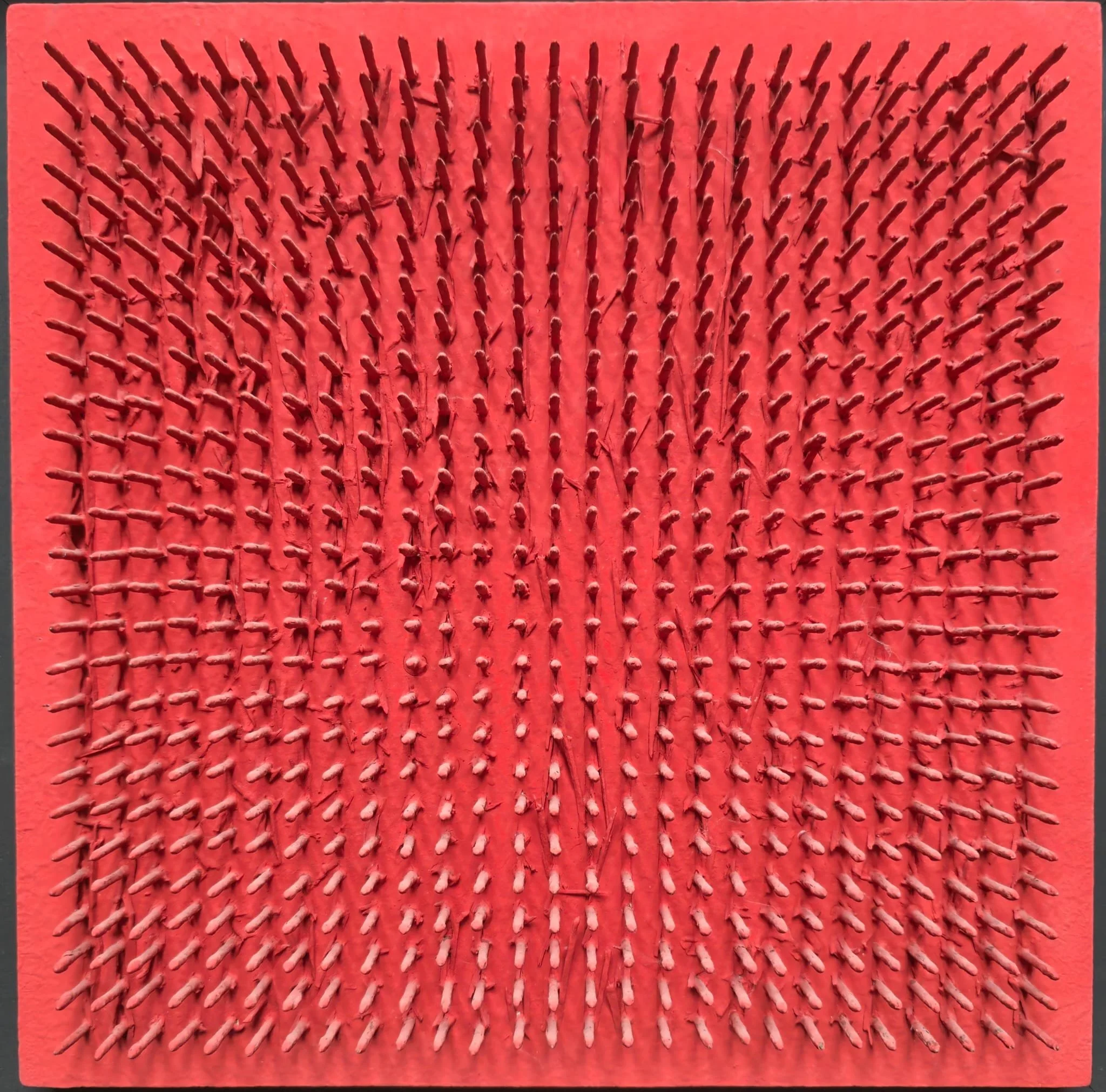 WhatsApp Image 2026-01-25 at 12.30.32.jpeg