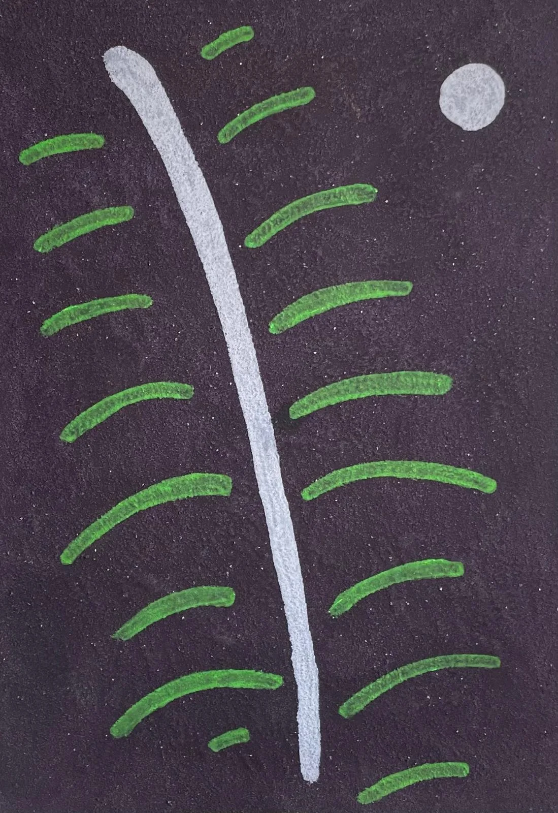 WhatsApp Image 2026-04-26 at 16.43.35.jpeg