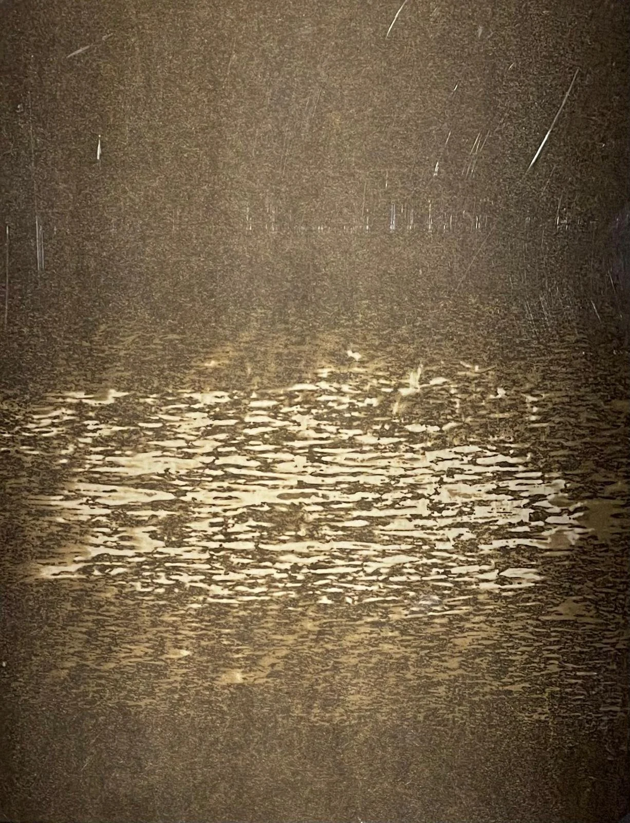 WhatsApp Image 2025-11-16 at 10.15.38 (6).jpeg