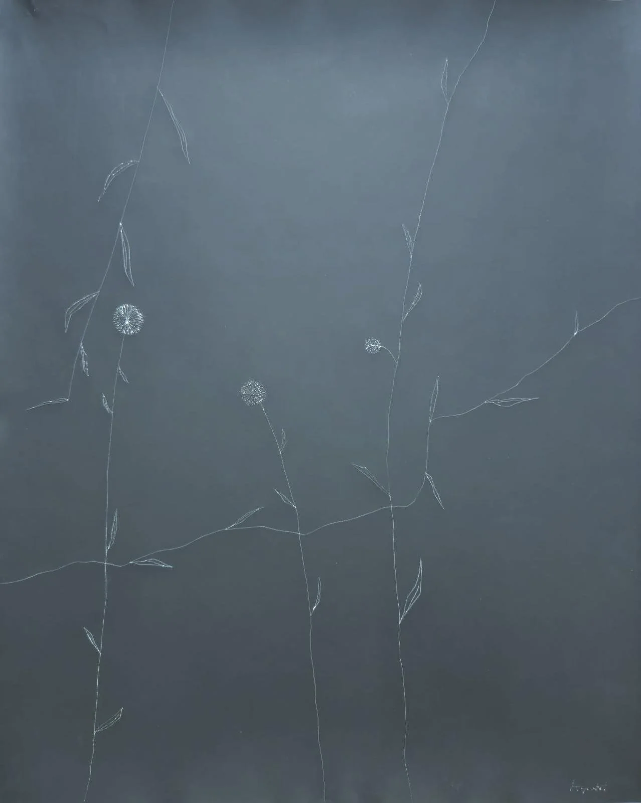 WhatsApp Image 2026-03-29 at 18.04.10.jpeg