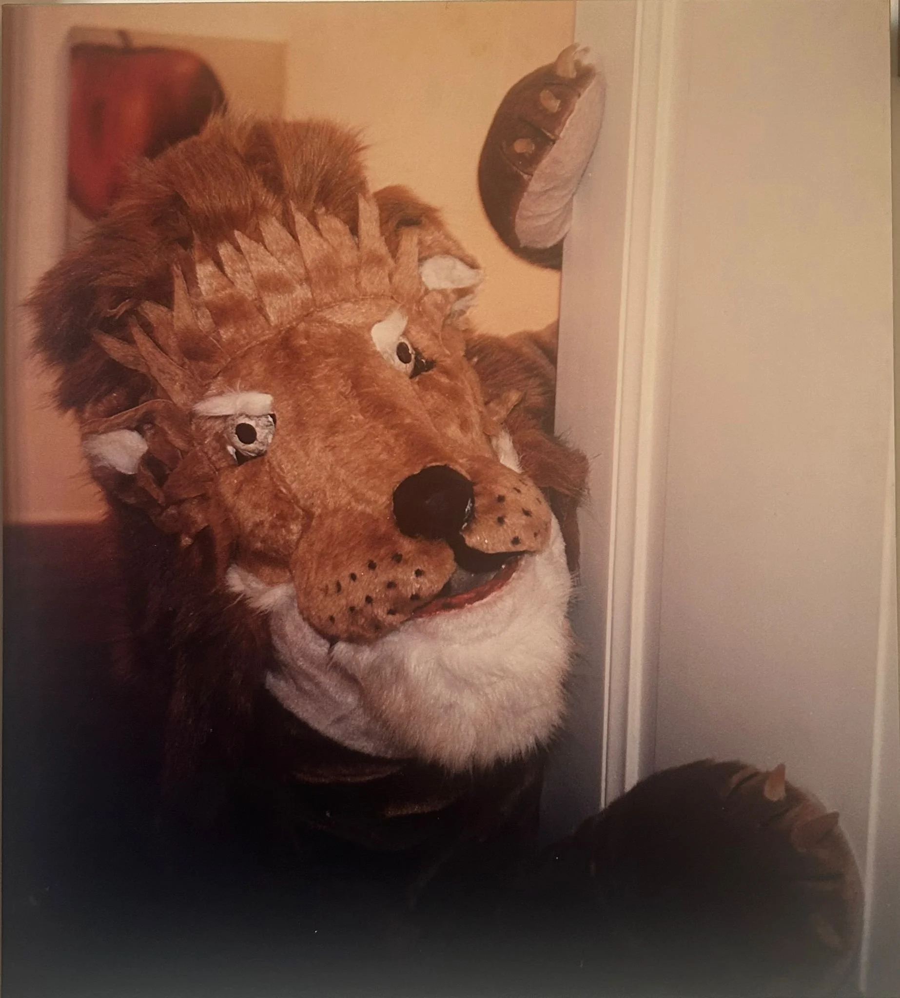 WhatsApp Image 2025-11-09 at 17.51.50.jpeg