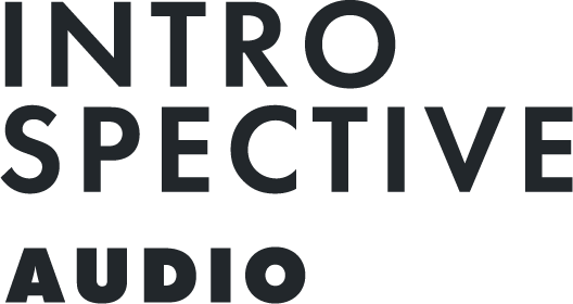 Introspective Audio