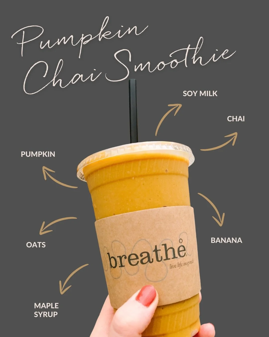 It&rsquo;s pumpkin season!! 🧡🧡🧡 Try our delicious  pumpkin drinks at the Brew Bar and Juice Bar!

🎃 Pumpkin Chai Smoothie
🎃 Pumpkin Spice Latte

📍 Main Street in Pittsford

✨ All real ingredients!