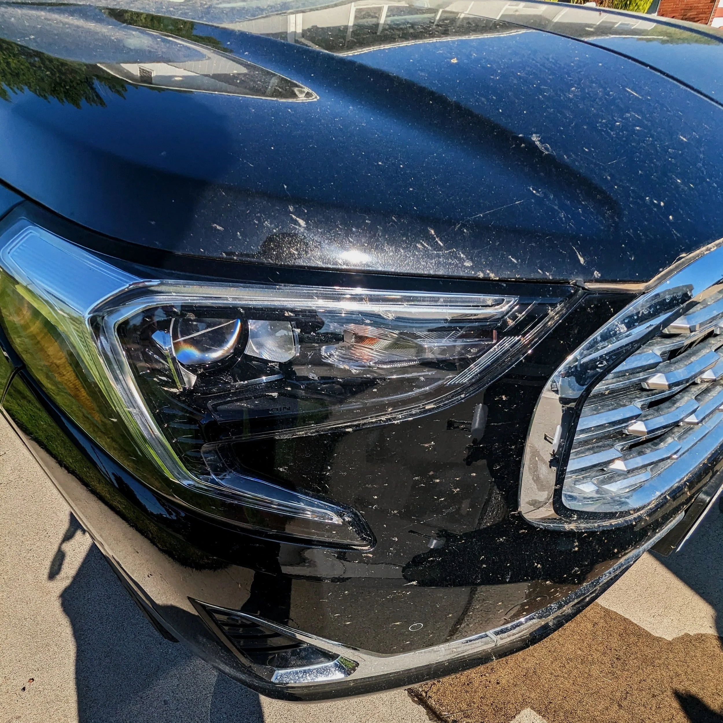 How to Safely Remove Bugs