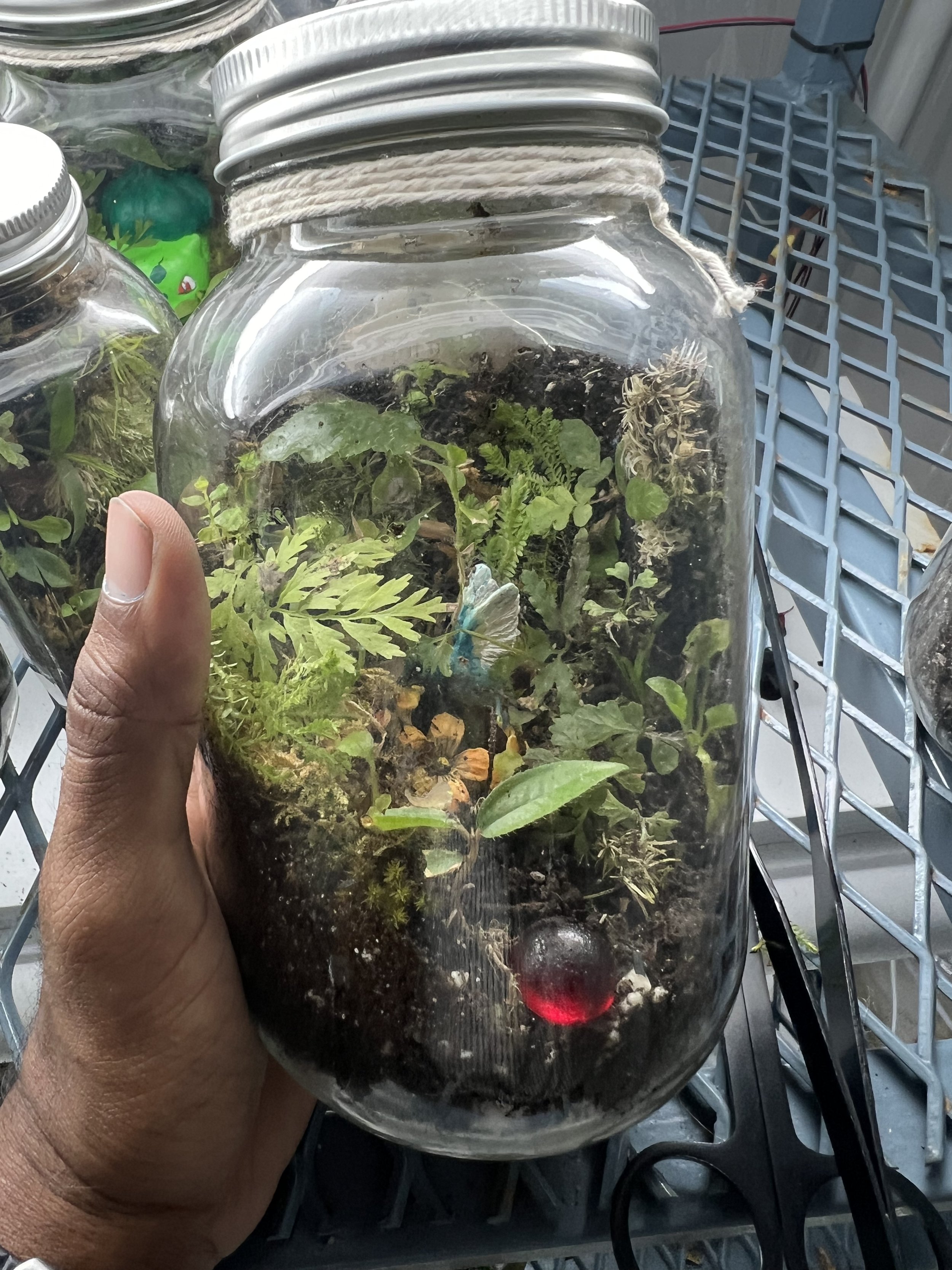 a world in the palm of your hands