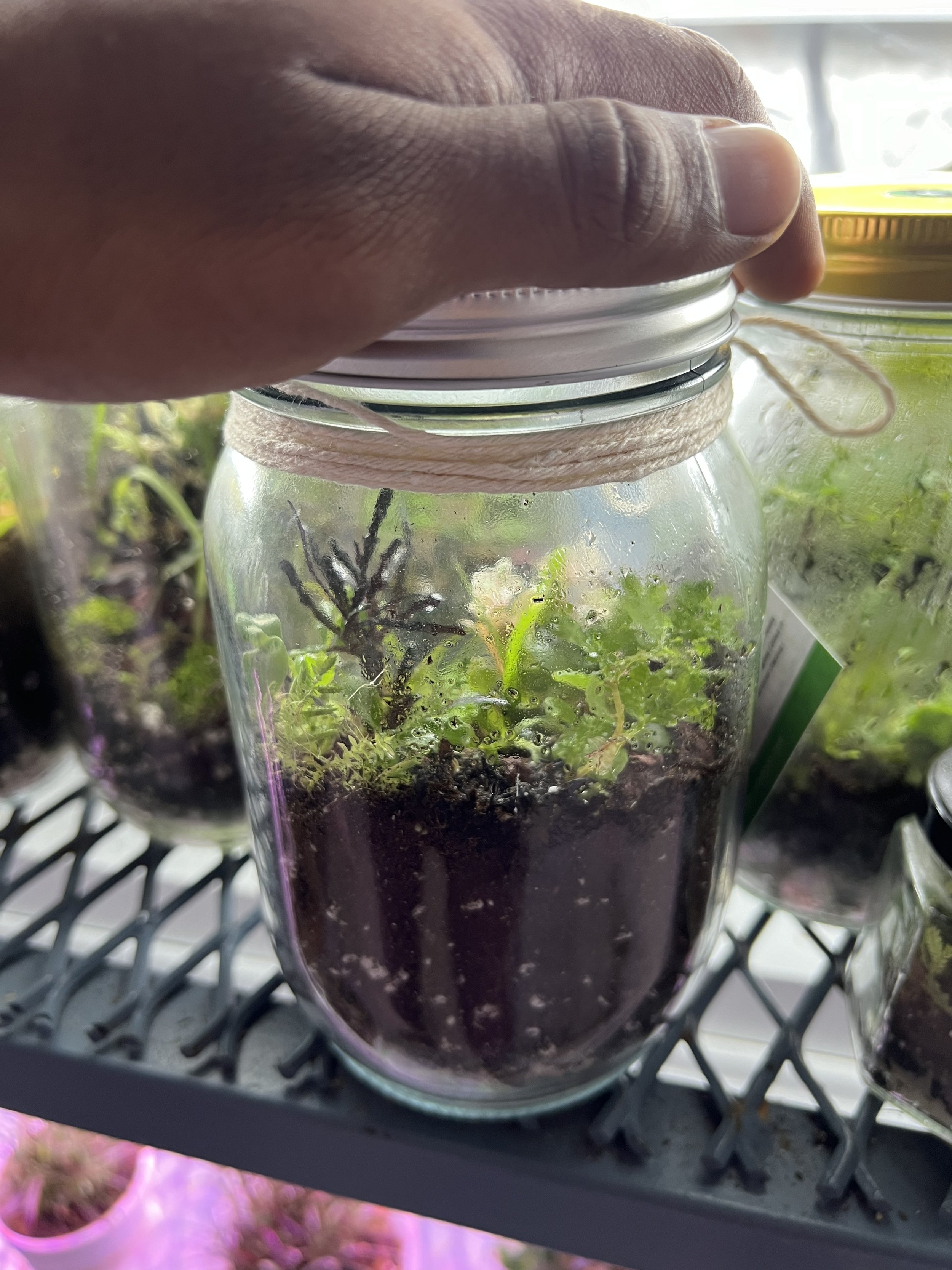 a world in the palm of your hands