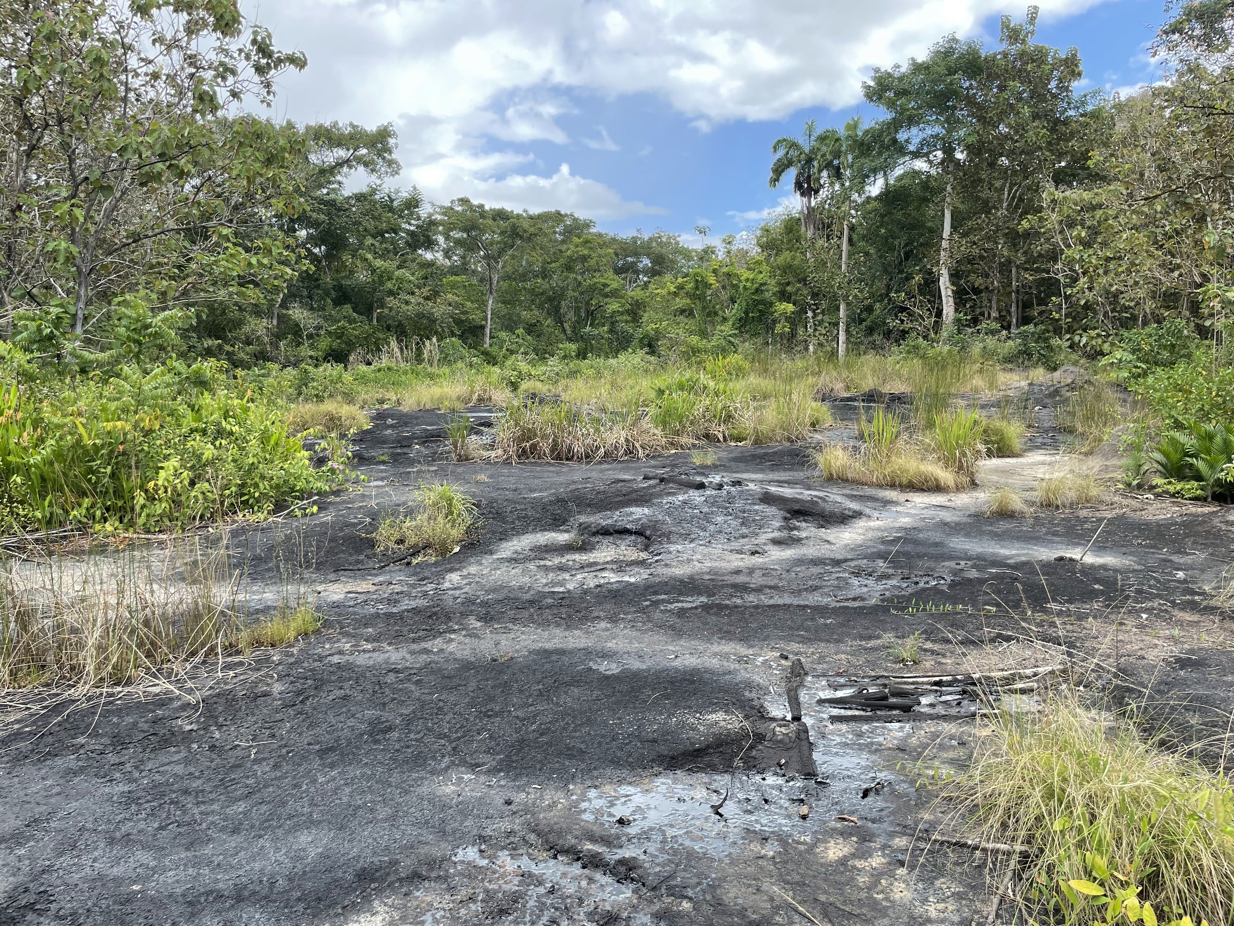 Natural oil seep in Trinidad.