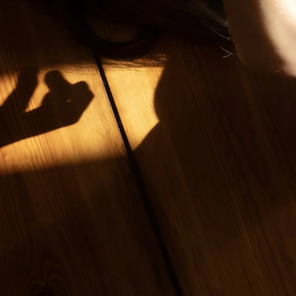 Goodbye, Again - curated by Allen Frame