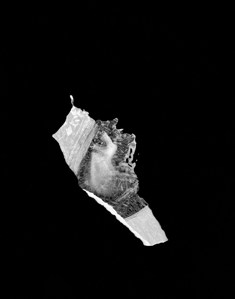 2_KiefertKatharina_IBelieveICanFloat.jpg