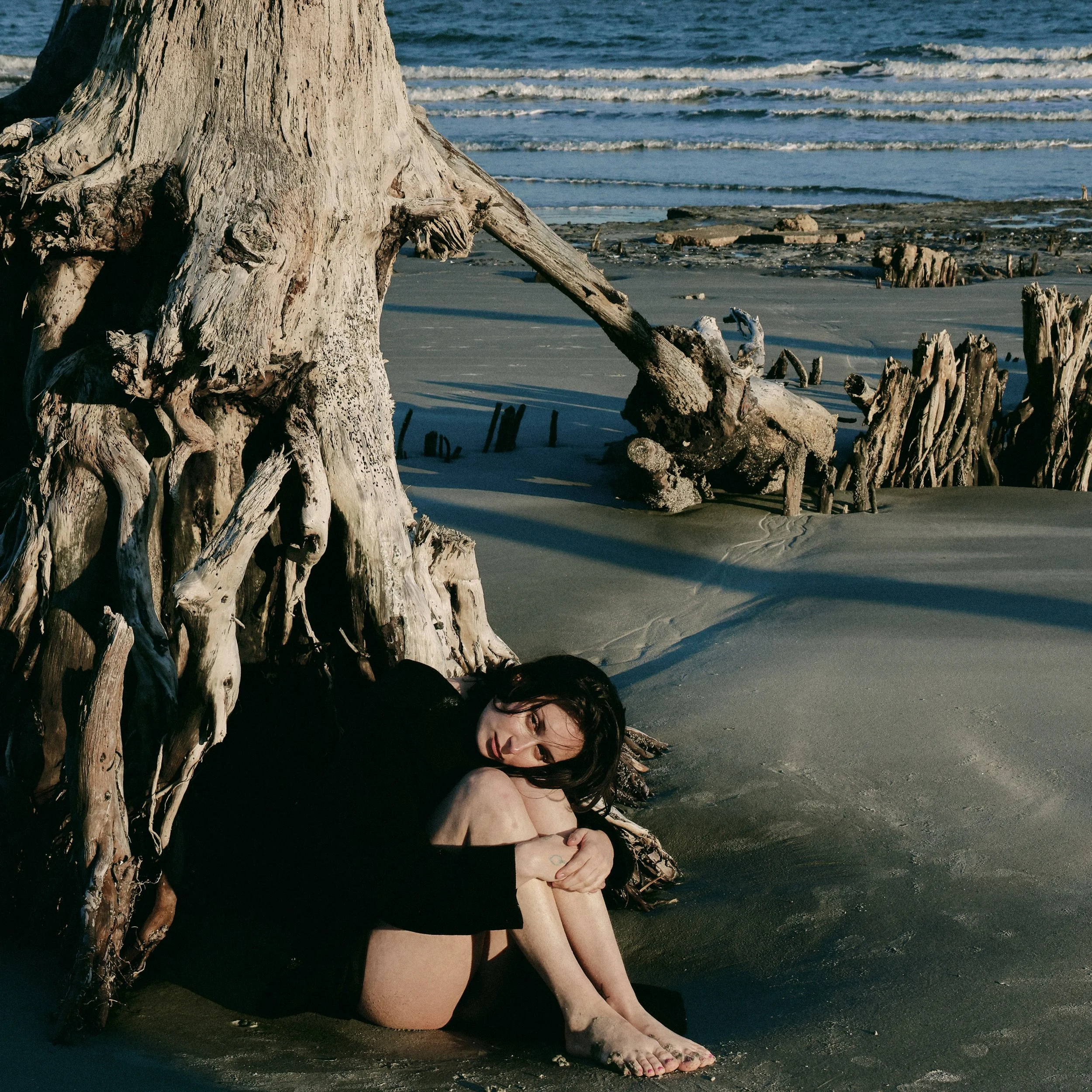 03012025_Vestige2299 1.jpg