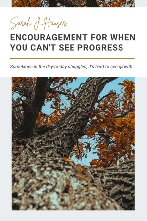 Encouragement for When You Can't See Progress — Sarah J. Hauser