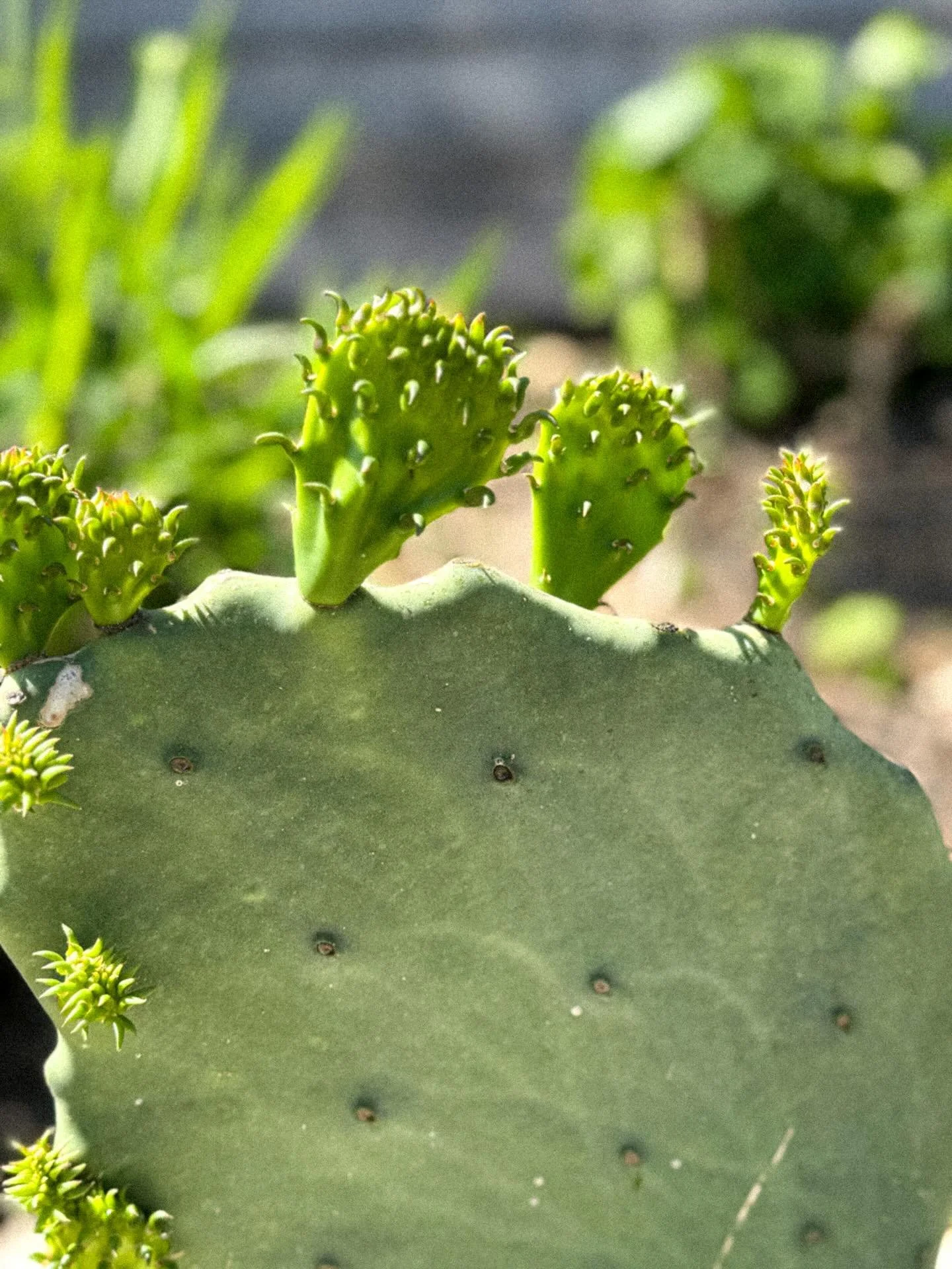 MARCH: more color, more togetherness, more creativity, more outdoors, more adventure.