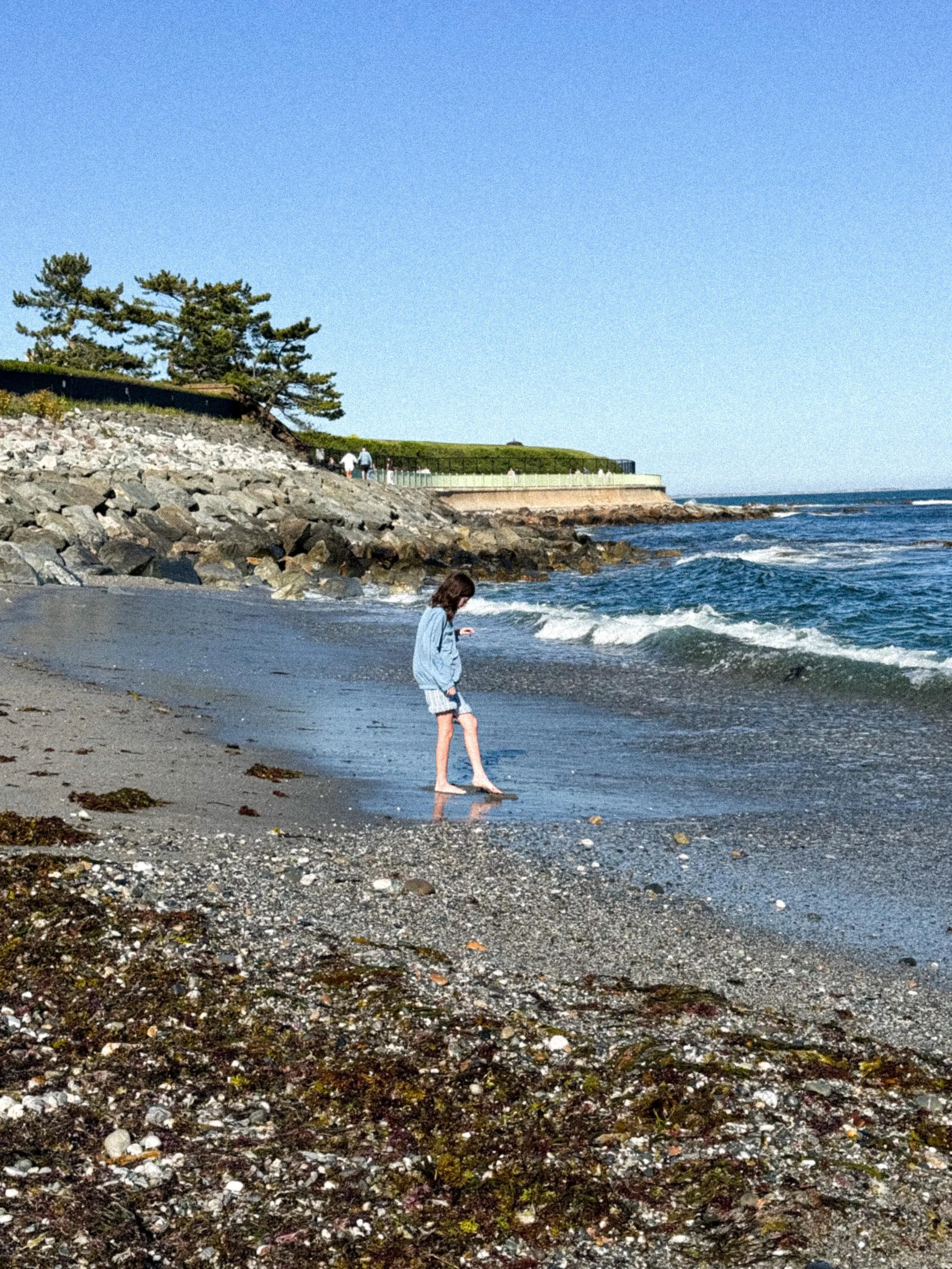Last week we went to Rhode Island and Massachusetts to attend my older stepson&rsquo;s graduation from college. I&rsquo;d never travelled to that part of the country before. Cooler temps, wonderful old boxy buildings, salty seas, robins, rabbits, lay