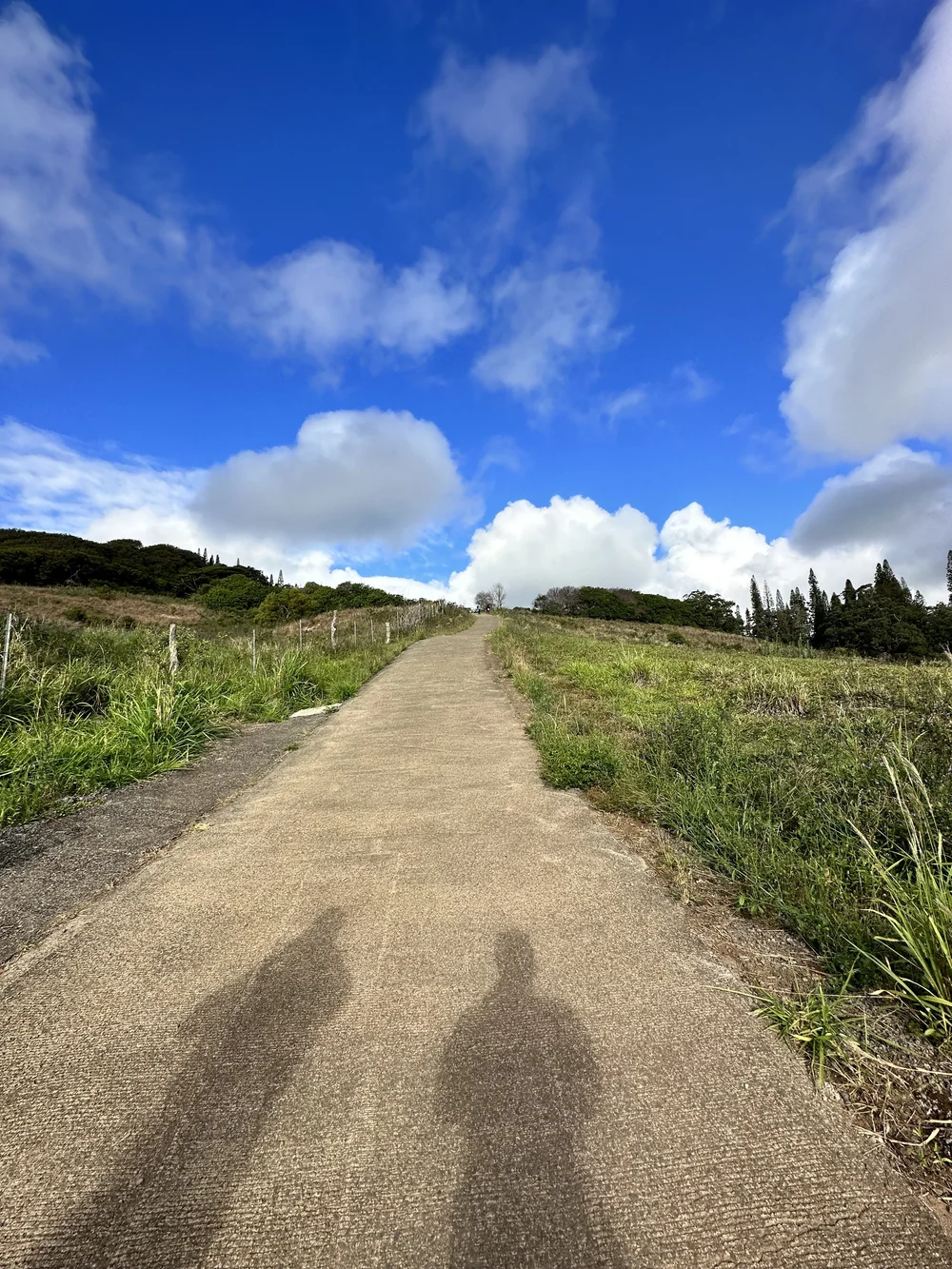 The start of the tough hike