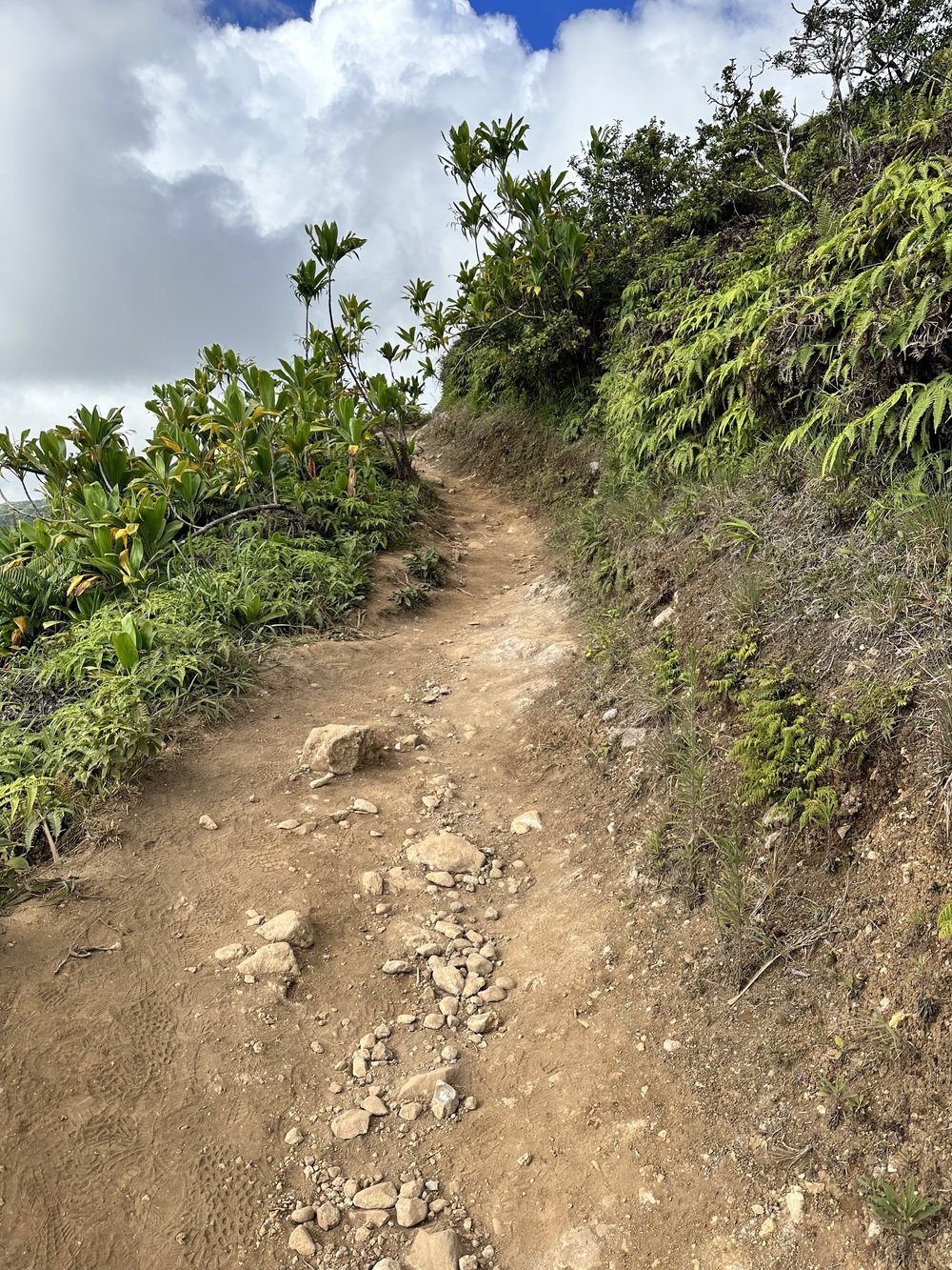 SO much incline / declines 