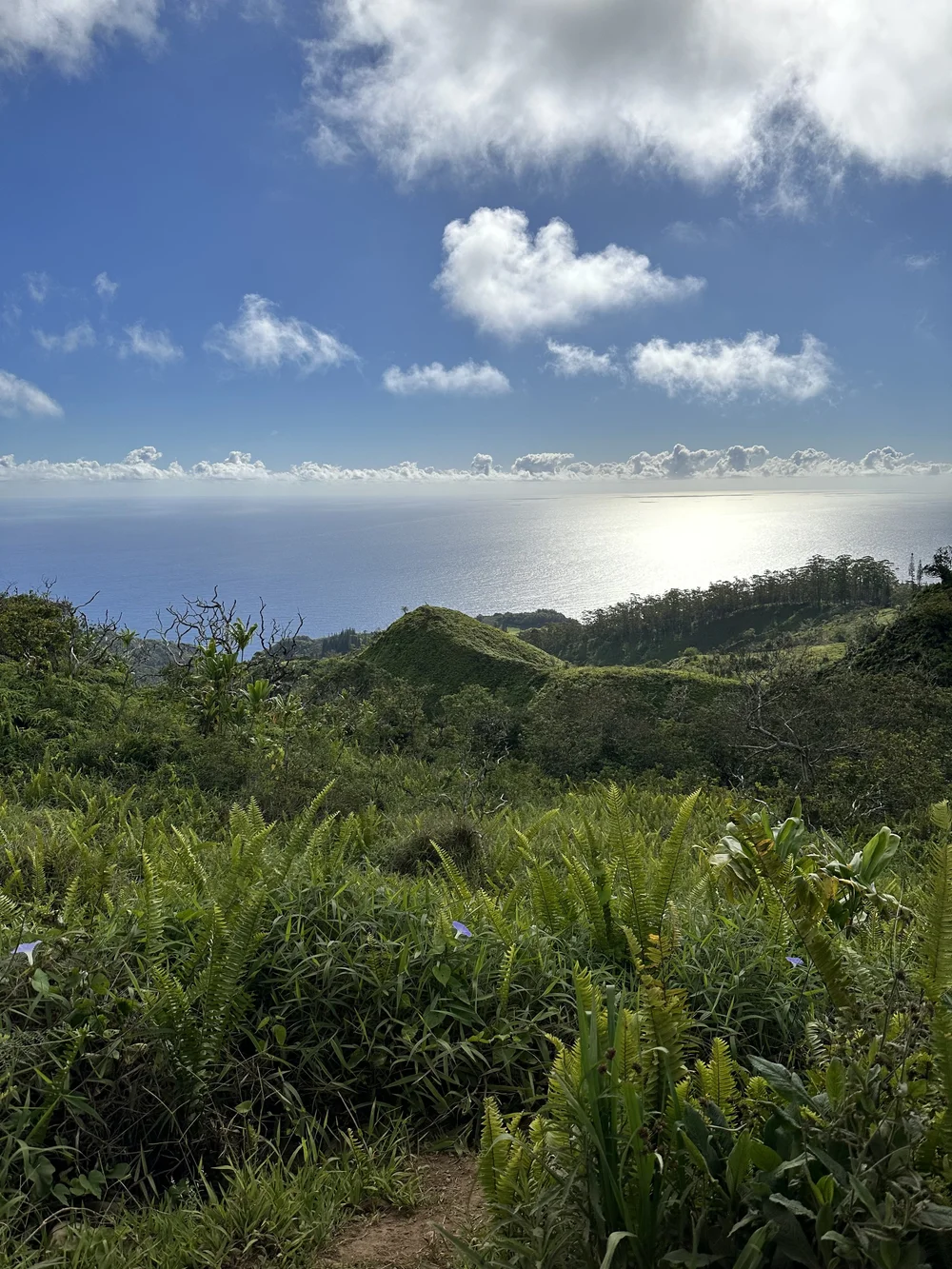 Views on the way down