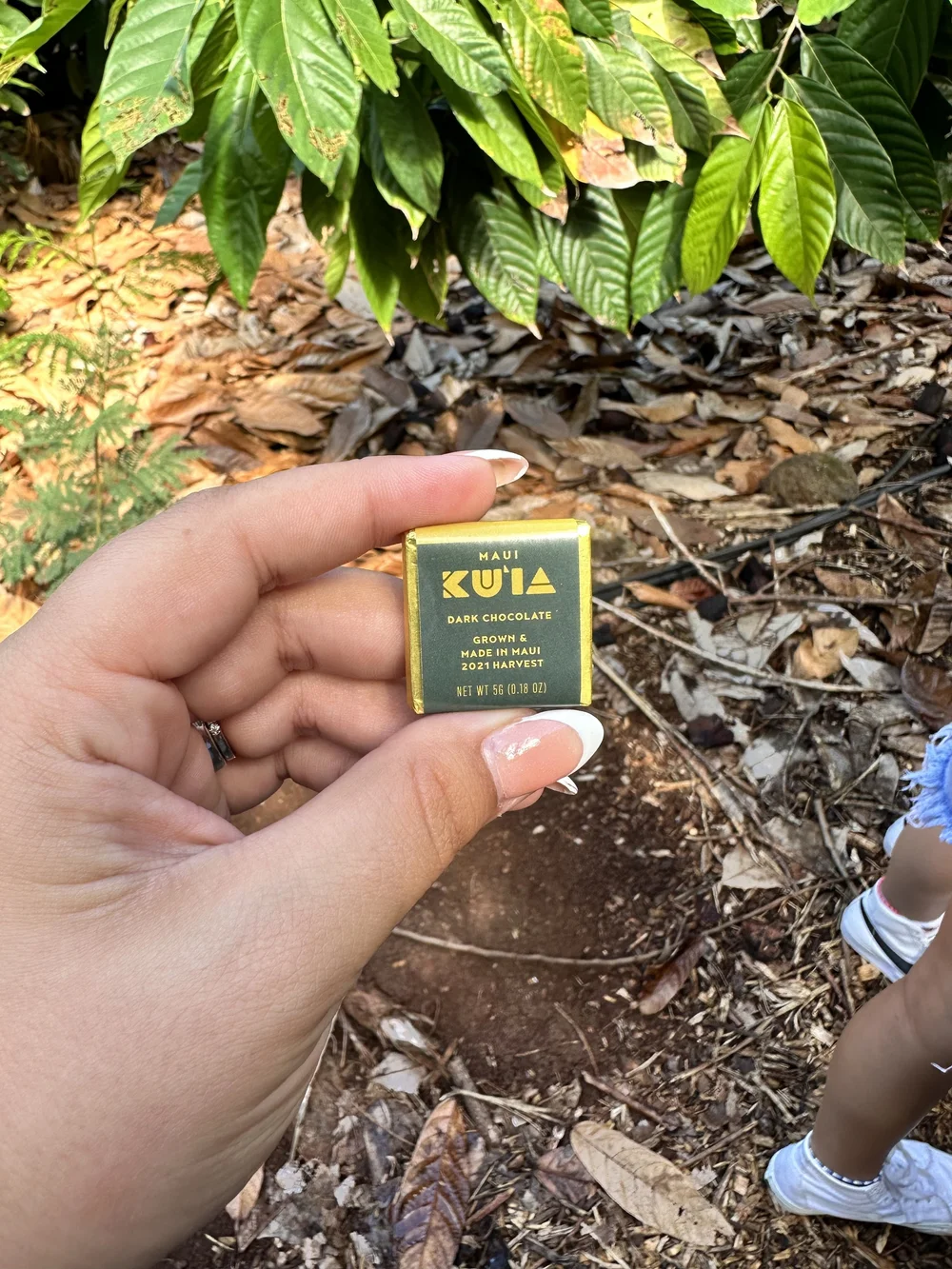 Delicious chocolate from the tour