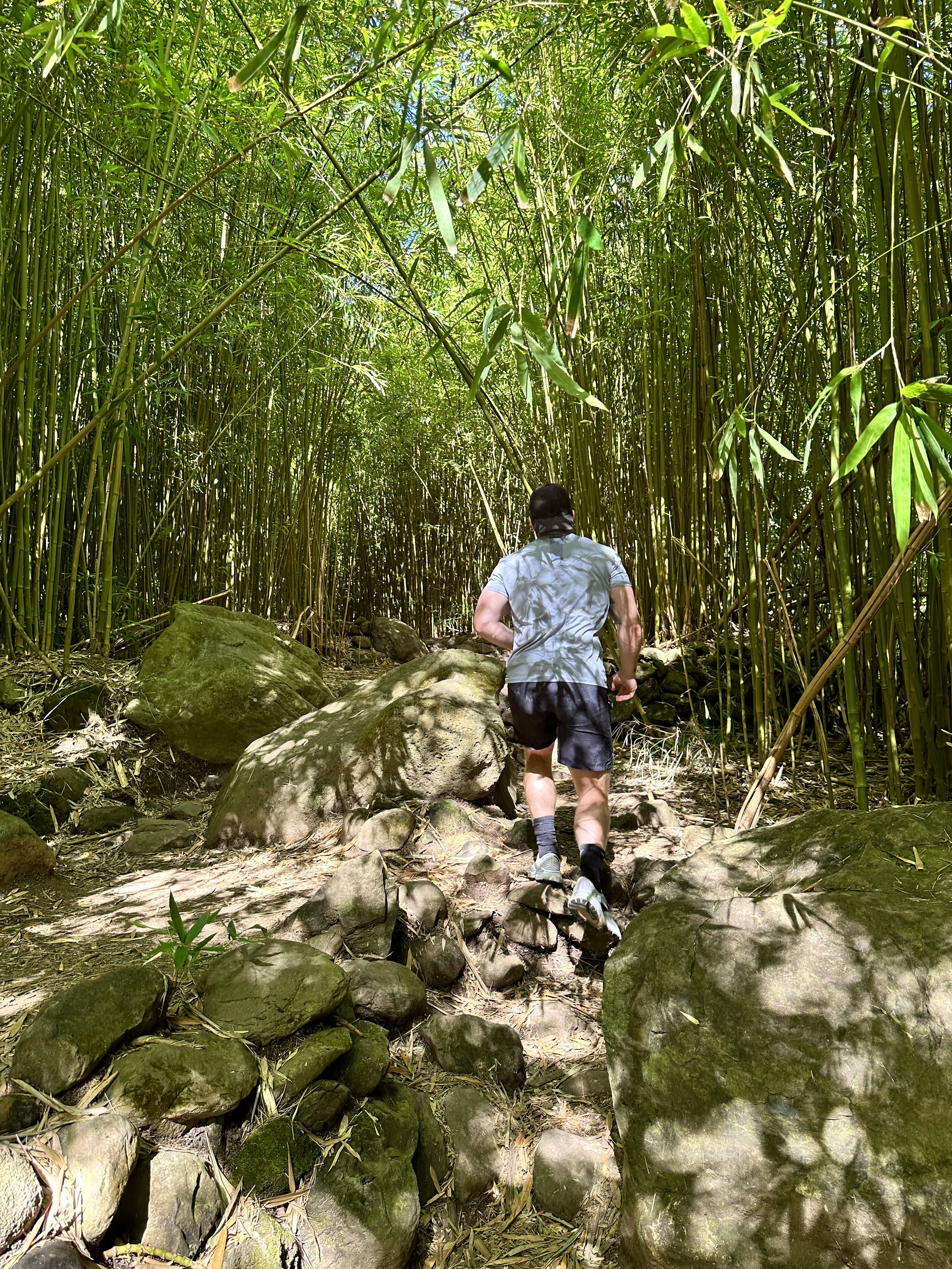 Hiked through a bamboo forest 