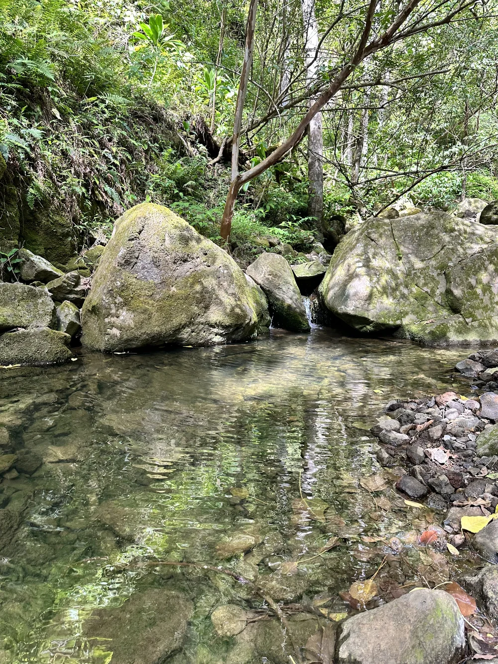 Cross this creek 10+ times!