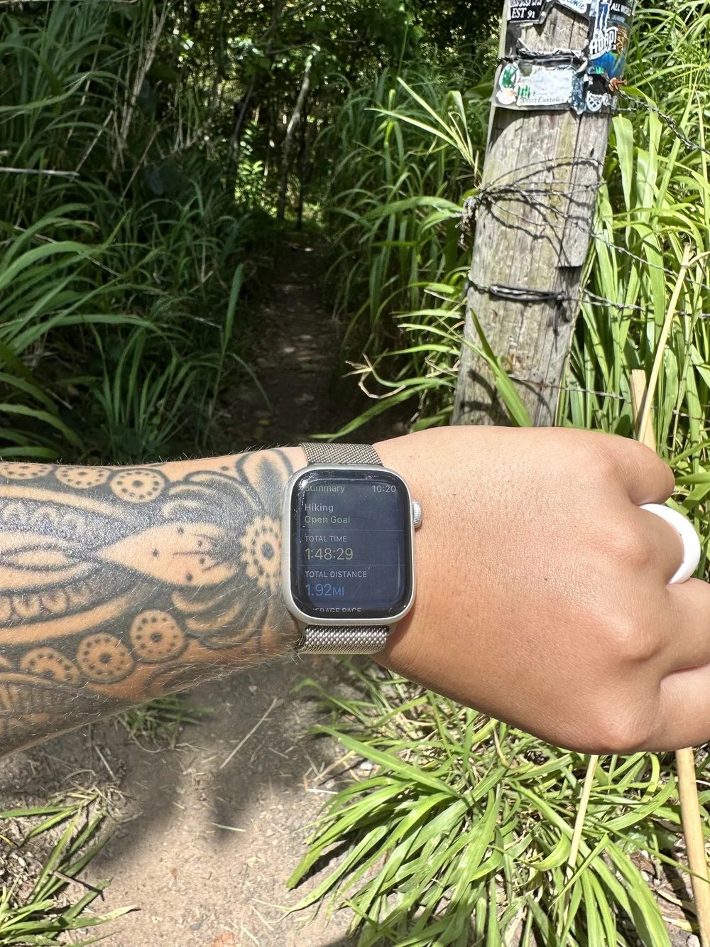 Total hike was under 2 miles!