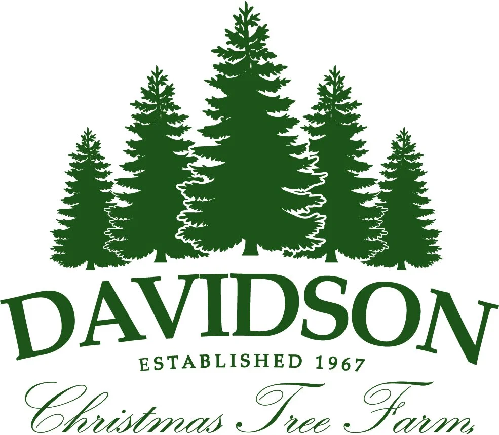 Davidson Christmas Tree Farm