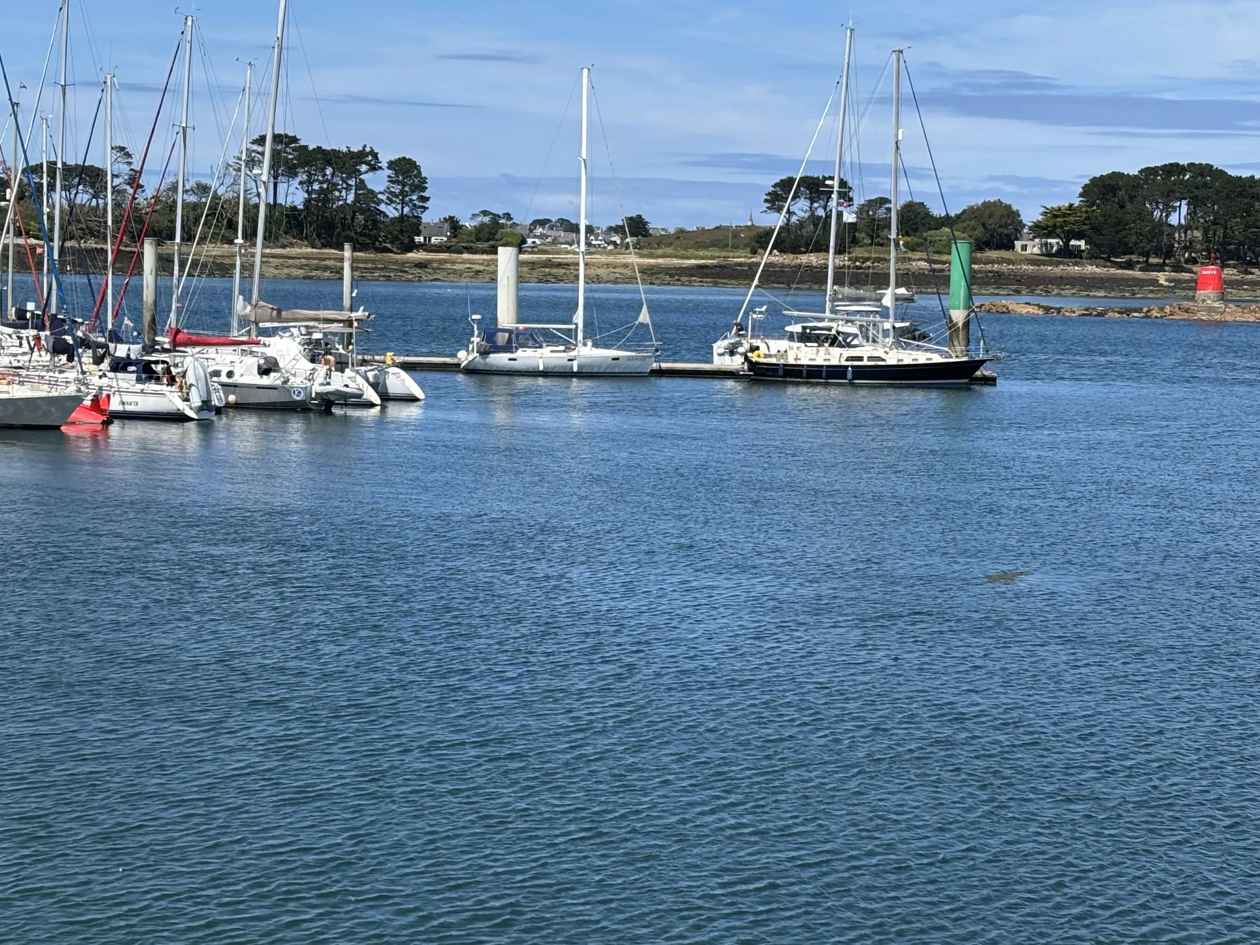 IMG_2345.jpeg