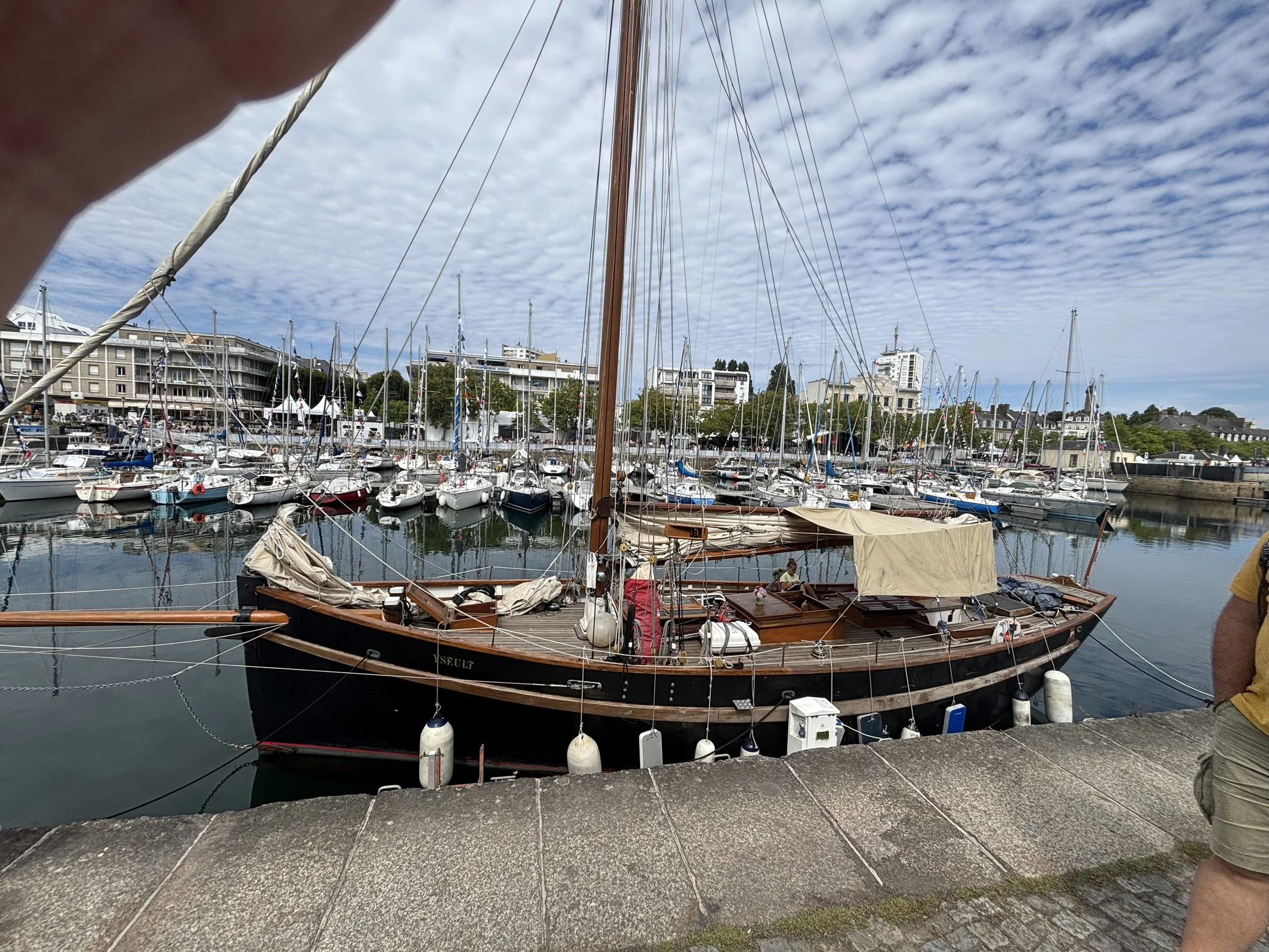 IMG_2416.jpeg