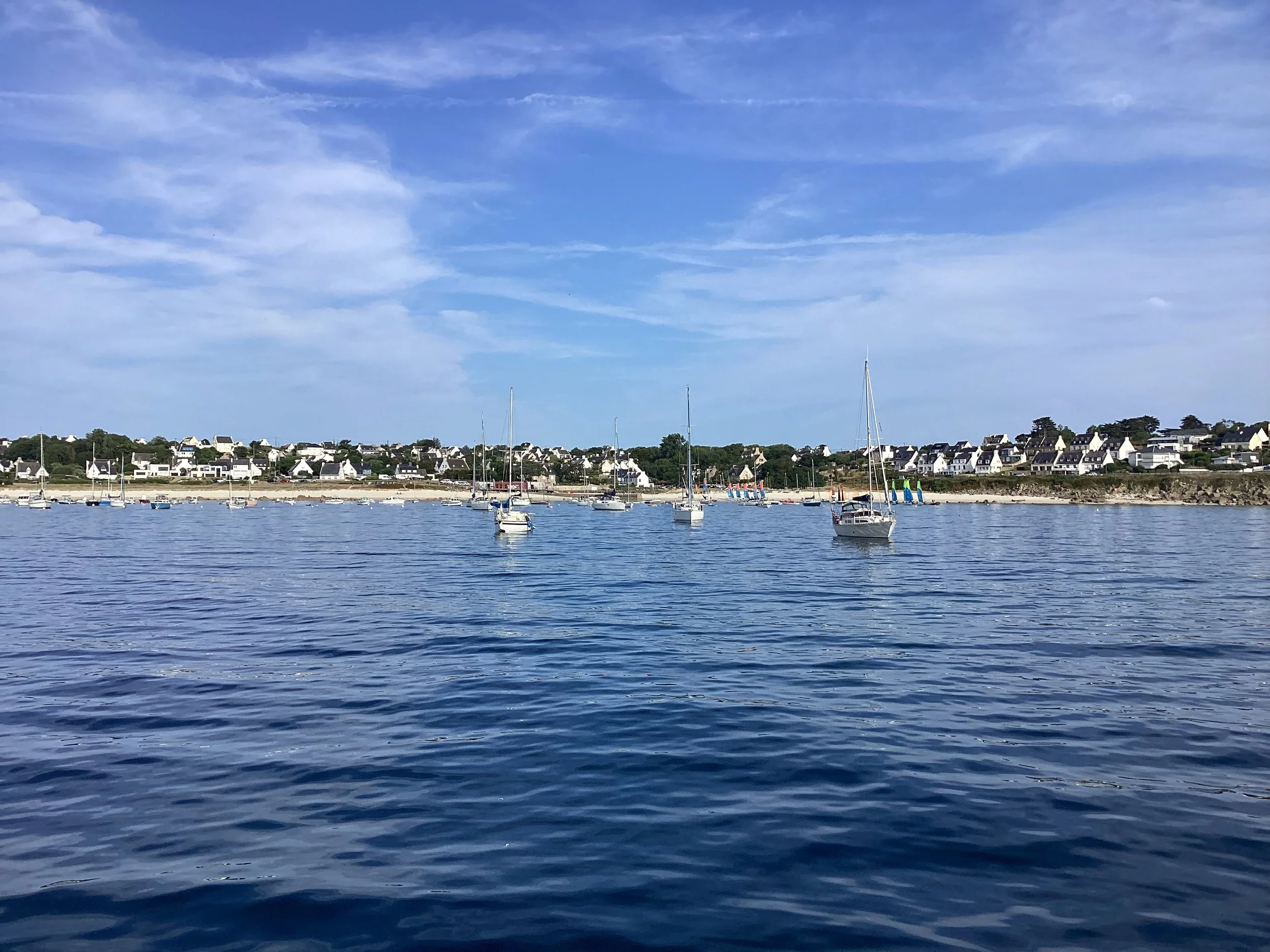 IMG_0558.jpeg