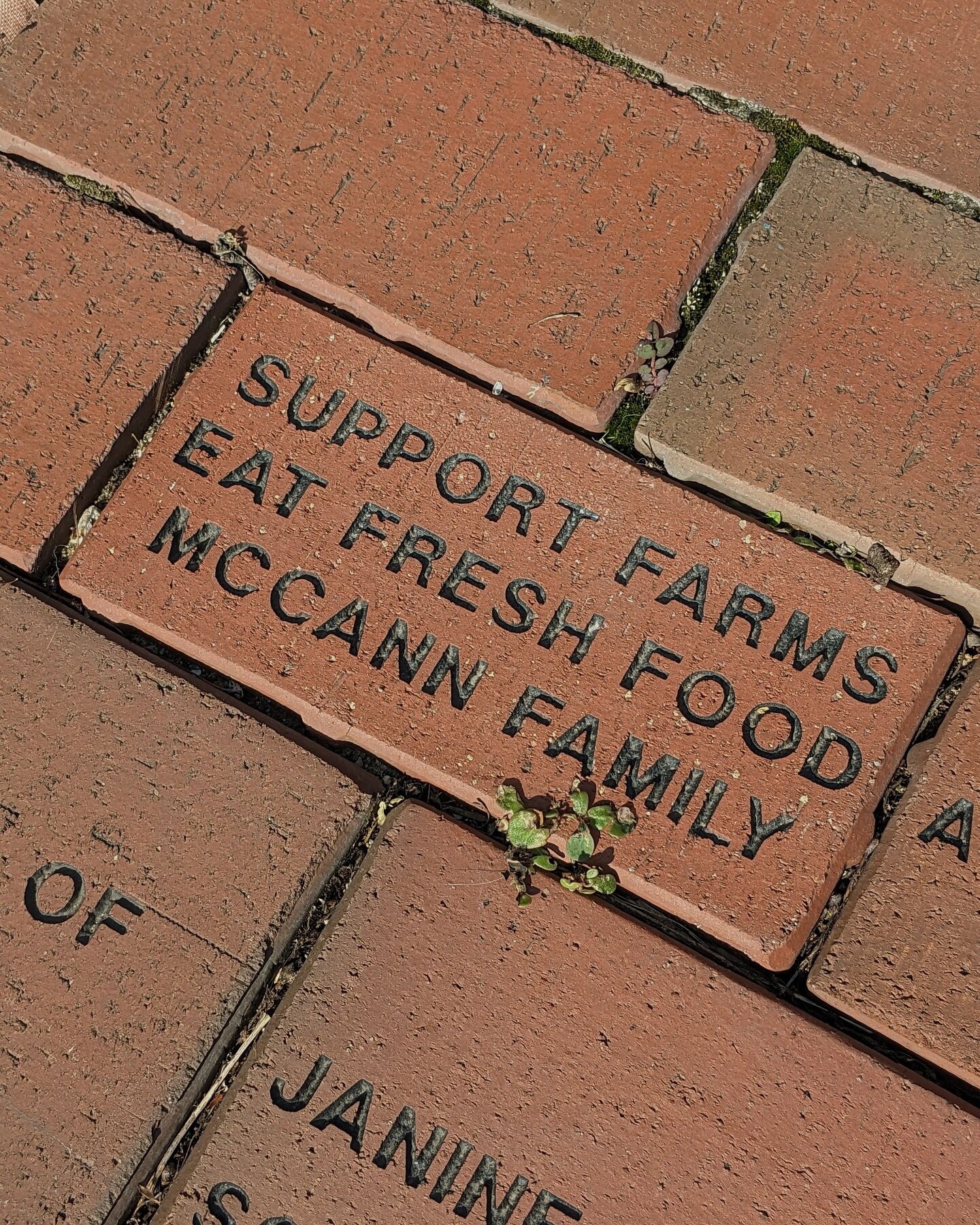 Leave your mark at the Market with an engraved brick!

Many of the property&rsquo;s bricks include personalized messages from vendors and market-goers alike.

To leave your permanent mark this spring, purchase a brick by Monday, April 22nd!

The Engr