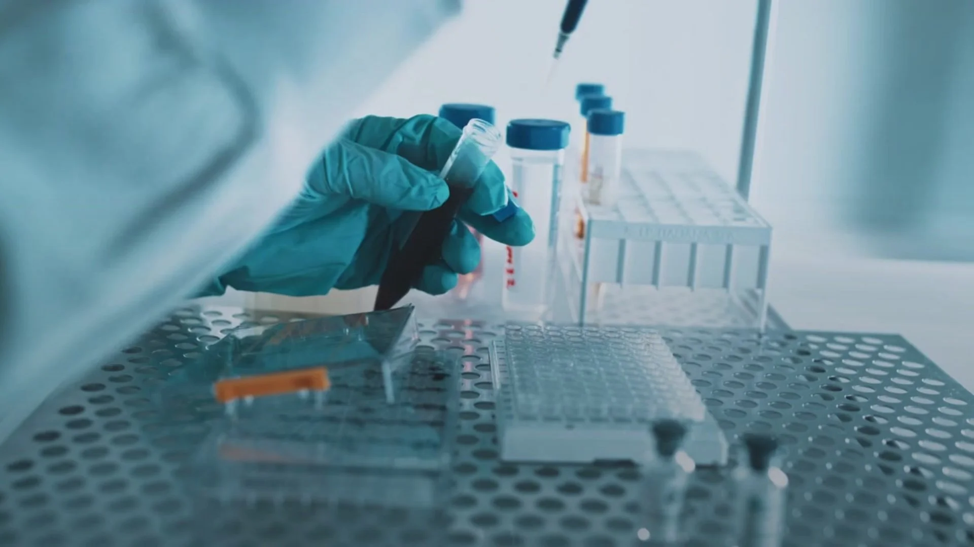 culture tray being filled in life sciences lab -40.jpg