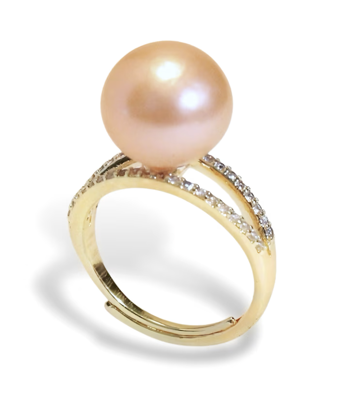 Screenshot 2026-01-27 at 6.45.18 PM.png