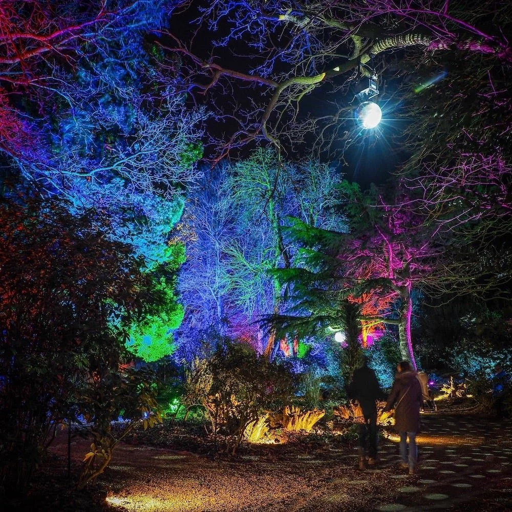 The Elsham Hall Light Show (Online Booking Only)
