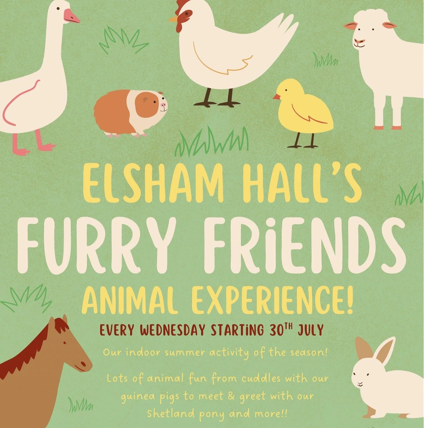 Elsham Hall Furry Friends Experience