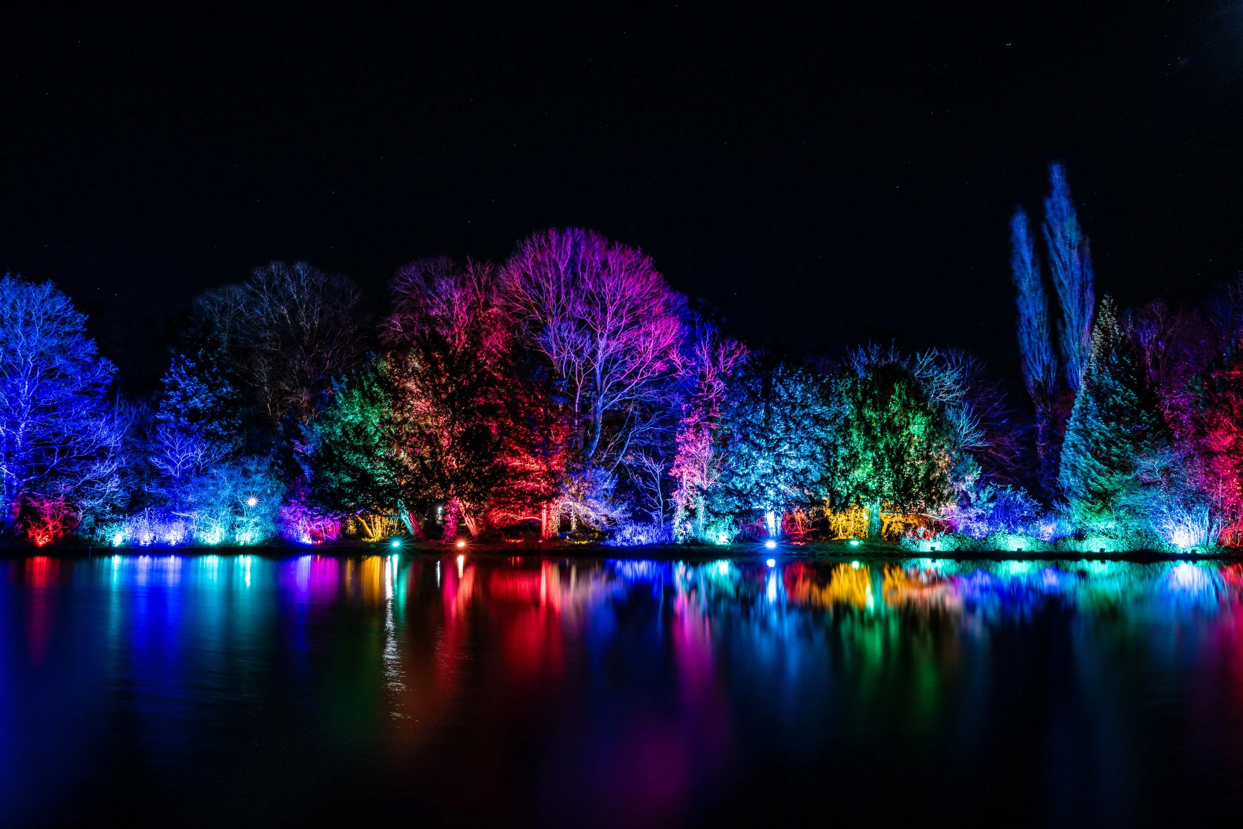 04_Kazooieloki_Elsham_Lights.jpg
