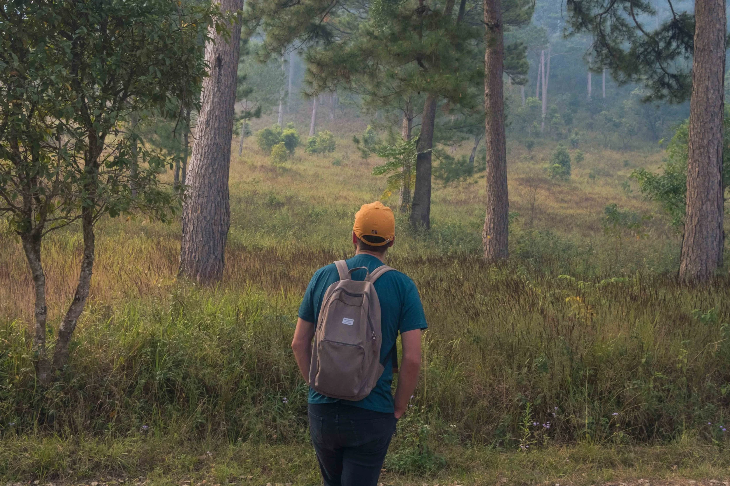 A person wearing a yellow hat and blue shirt is walking through a forest with tall trees and green grass.