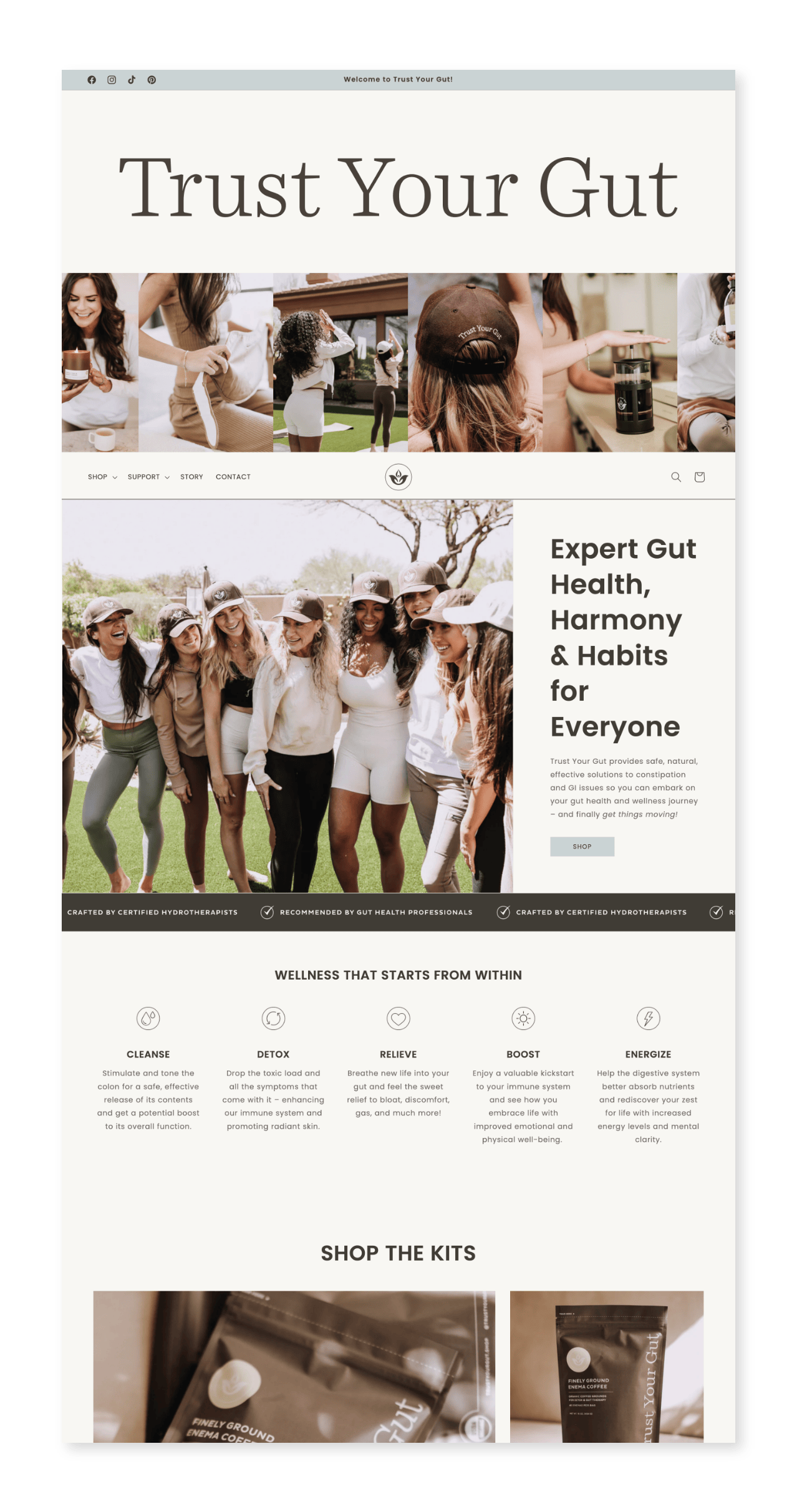 WildHive-Studio_Business-Tools_Honeybook_ – 79.png