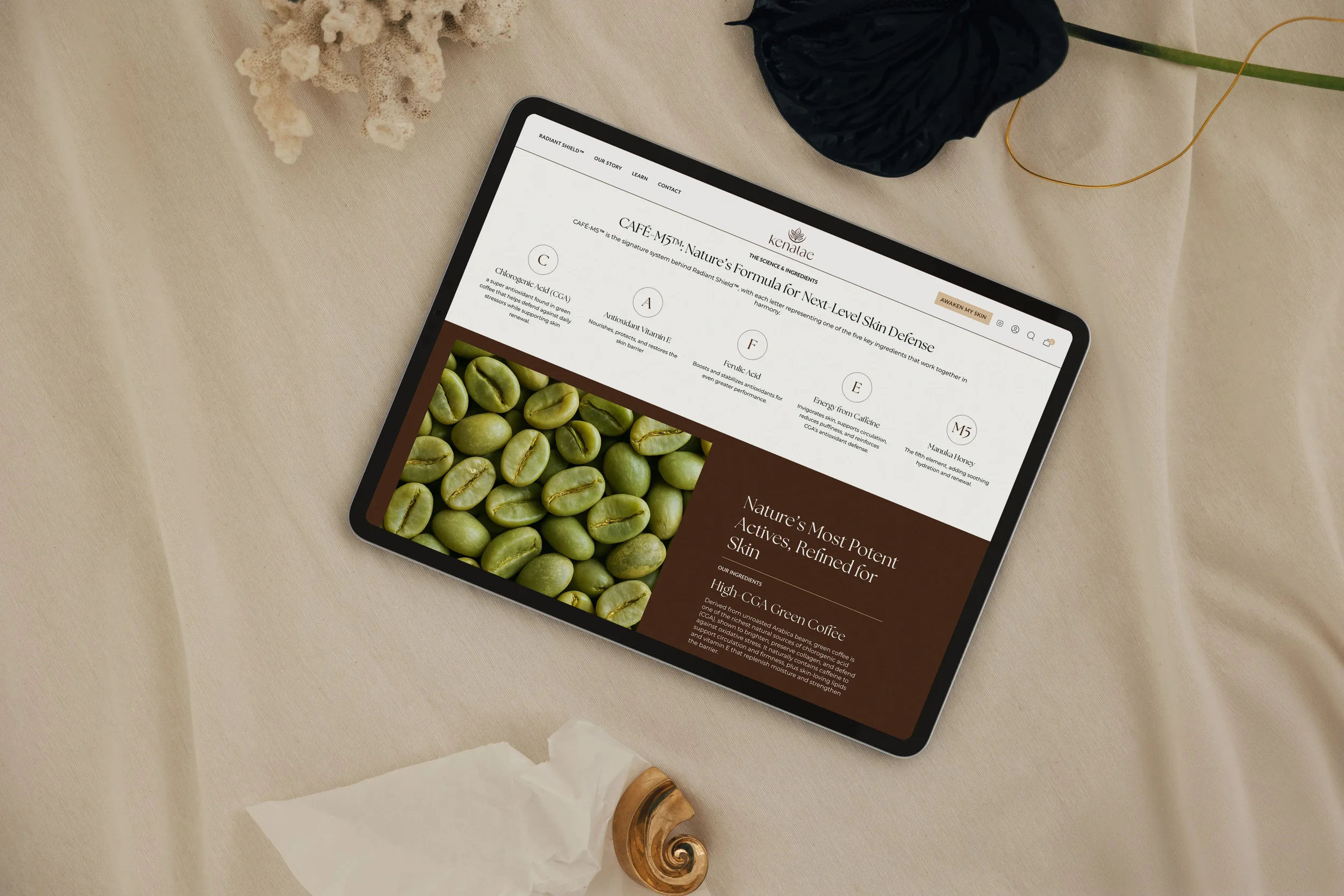 Kenatae-Green-coffee-skin-serum_ecommerce-conversion-copywriting-04.webp