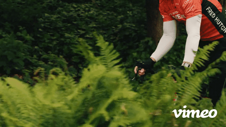 Sample Clips-high.gif